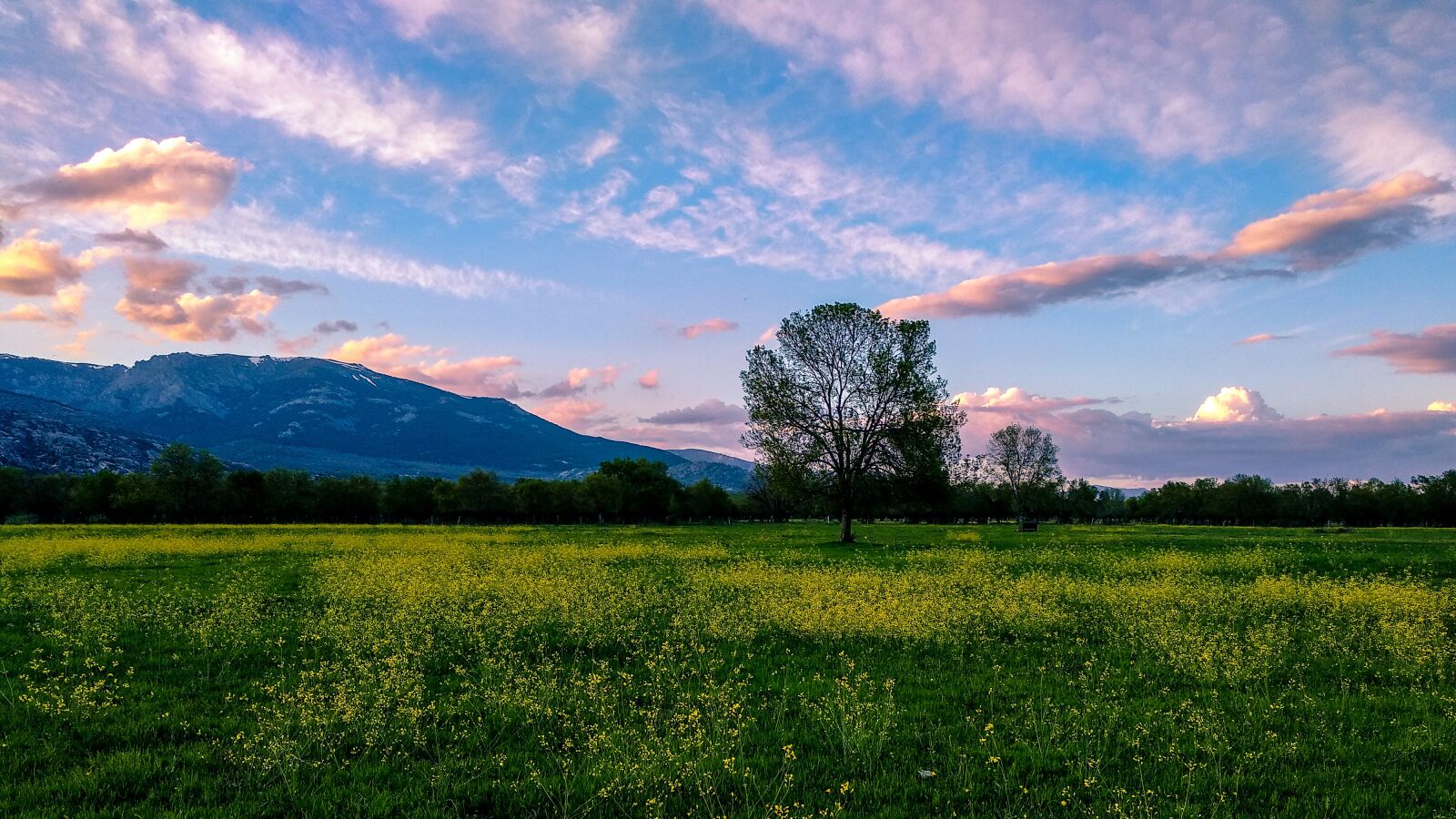 Xiaomi Mi A1 sample photo. Nature, panoramic, landscape photography
