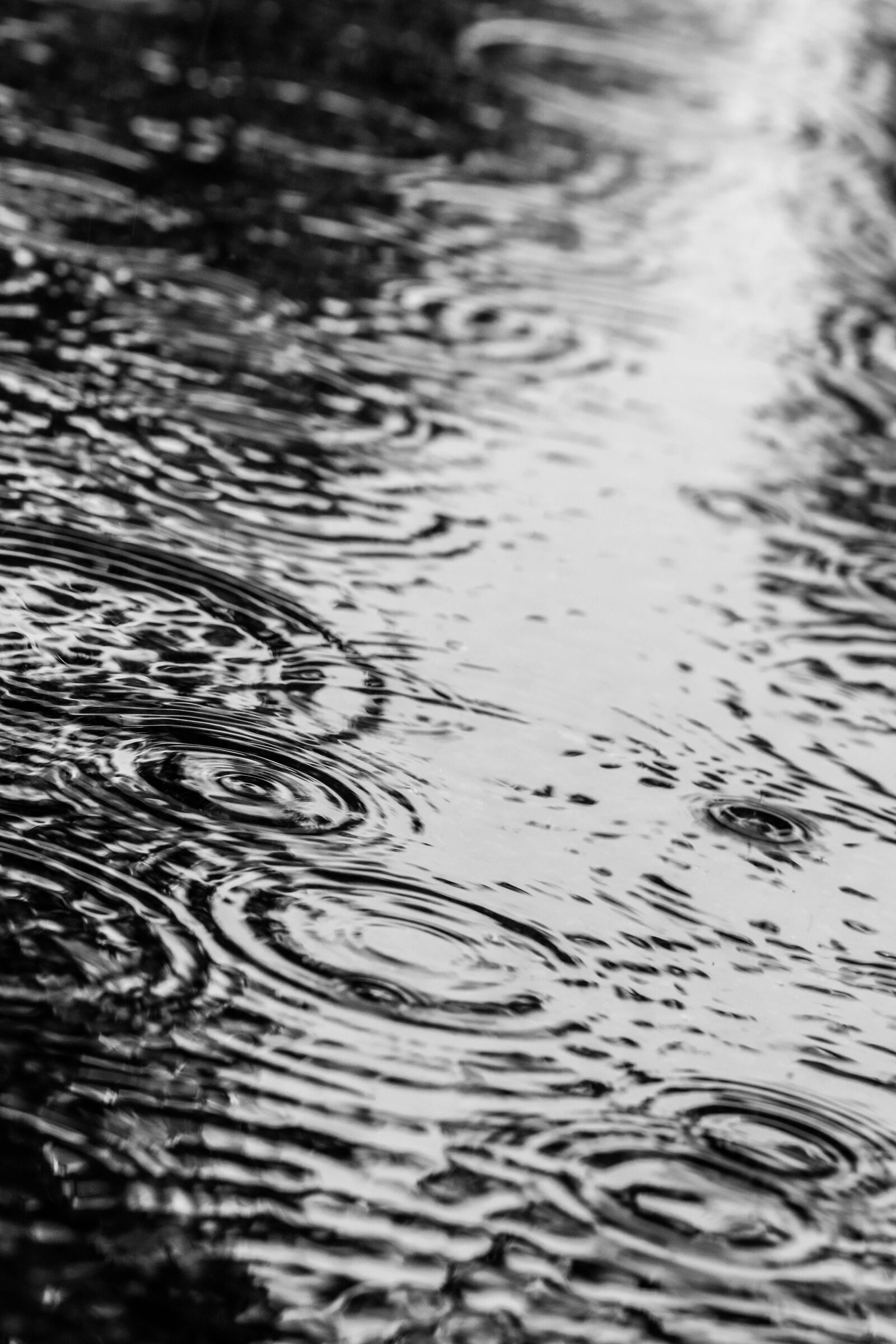 Canon EOS 7D Mark II sample photo. Puddle, water, rain photography