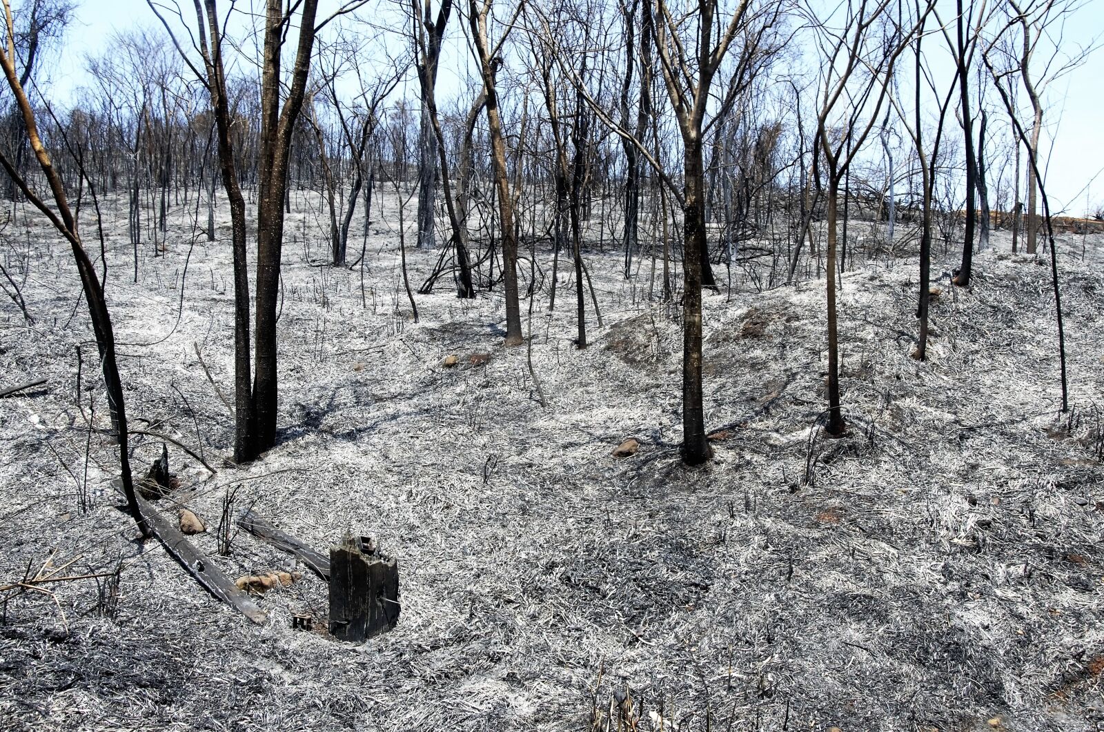 Nikon D5100 sample photo. Burned, fire, burn photography