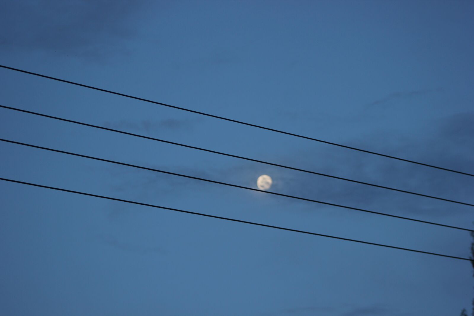 Canon EOS 550D (EOS Rebel T2i / EOS Kiss X4) sample photo. Moon, notes, music photography