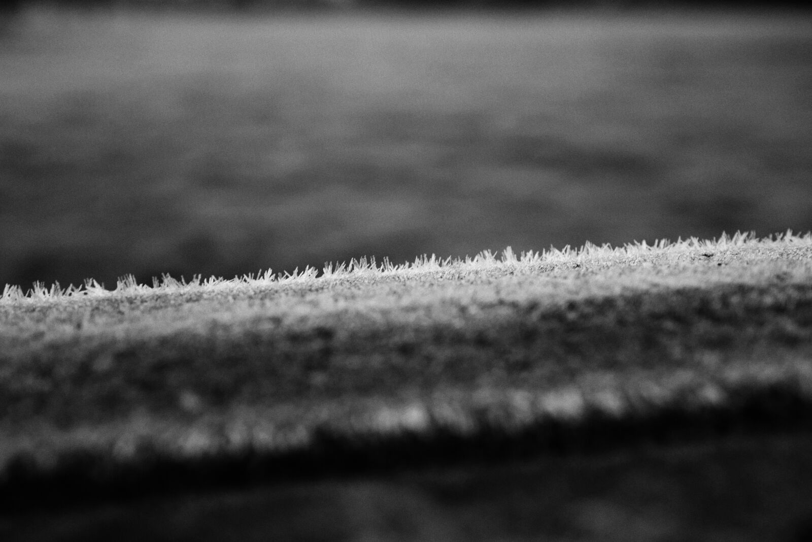 Leica Q (Typ 116) sample photo