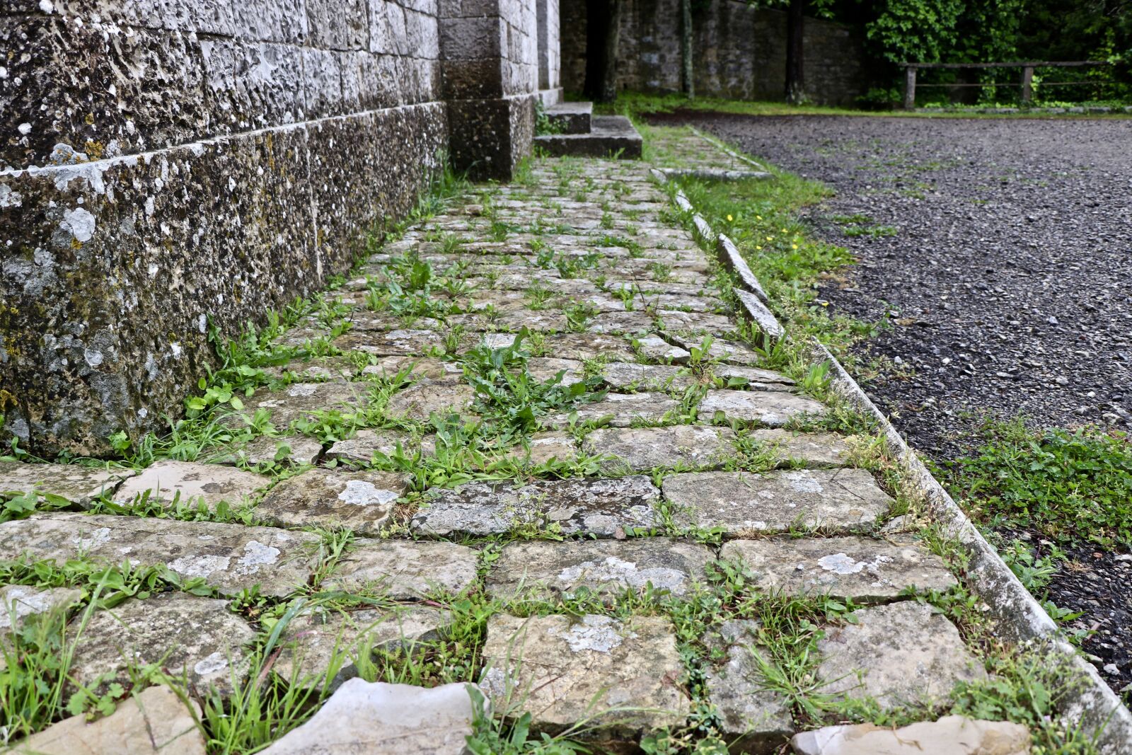 Canon EF-S 18-135mm F3.5-5.6 IS USM sample photo. Pavement, ancient, old photography