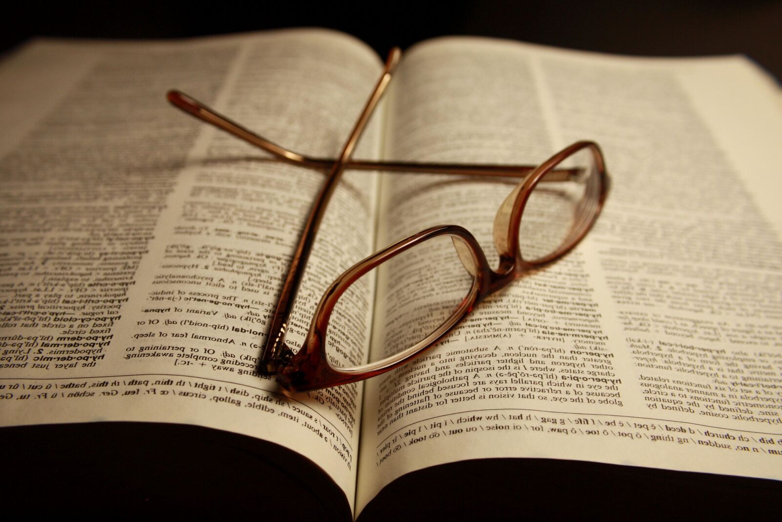 f/3.5-5.6 IS sample photo. Reading glasses, pages, dictionary photography