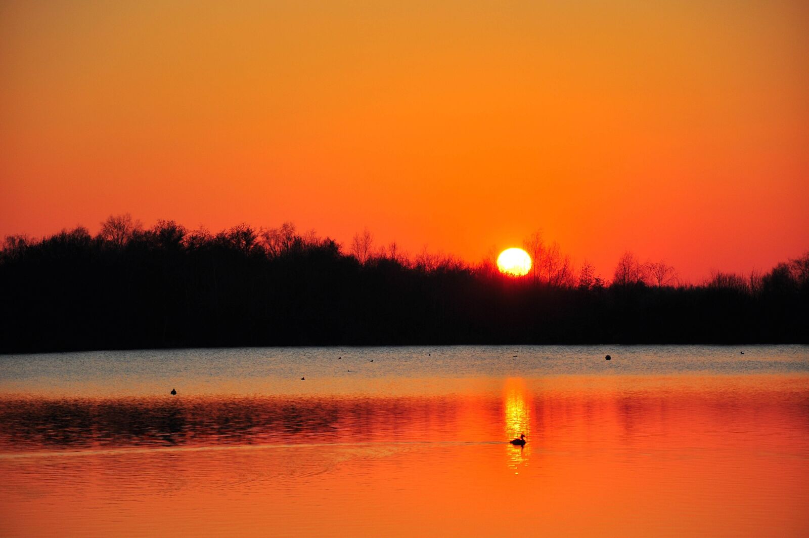 Nikon D90 sample photo. Sunset, dawn, water photography