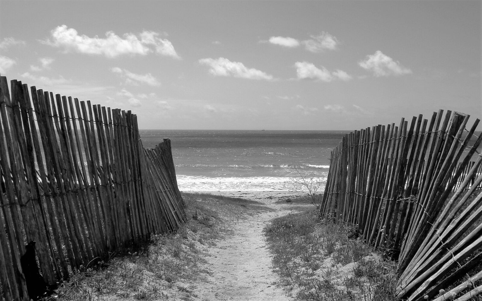Olympus SP550UZ sample photo. Dunes, fences, beach photography