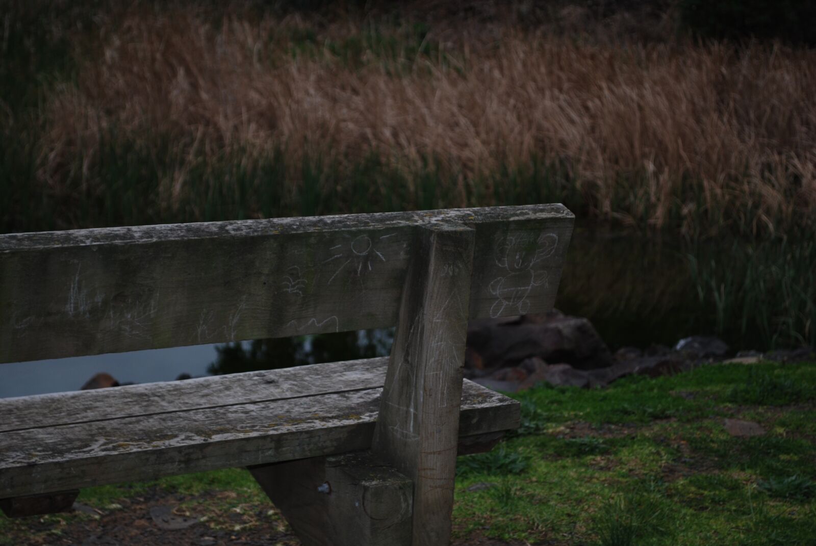 Nikon D60 sample photo. Bench, reeds, graffiti photography