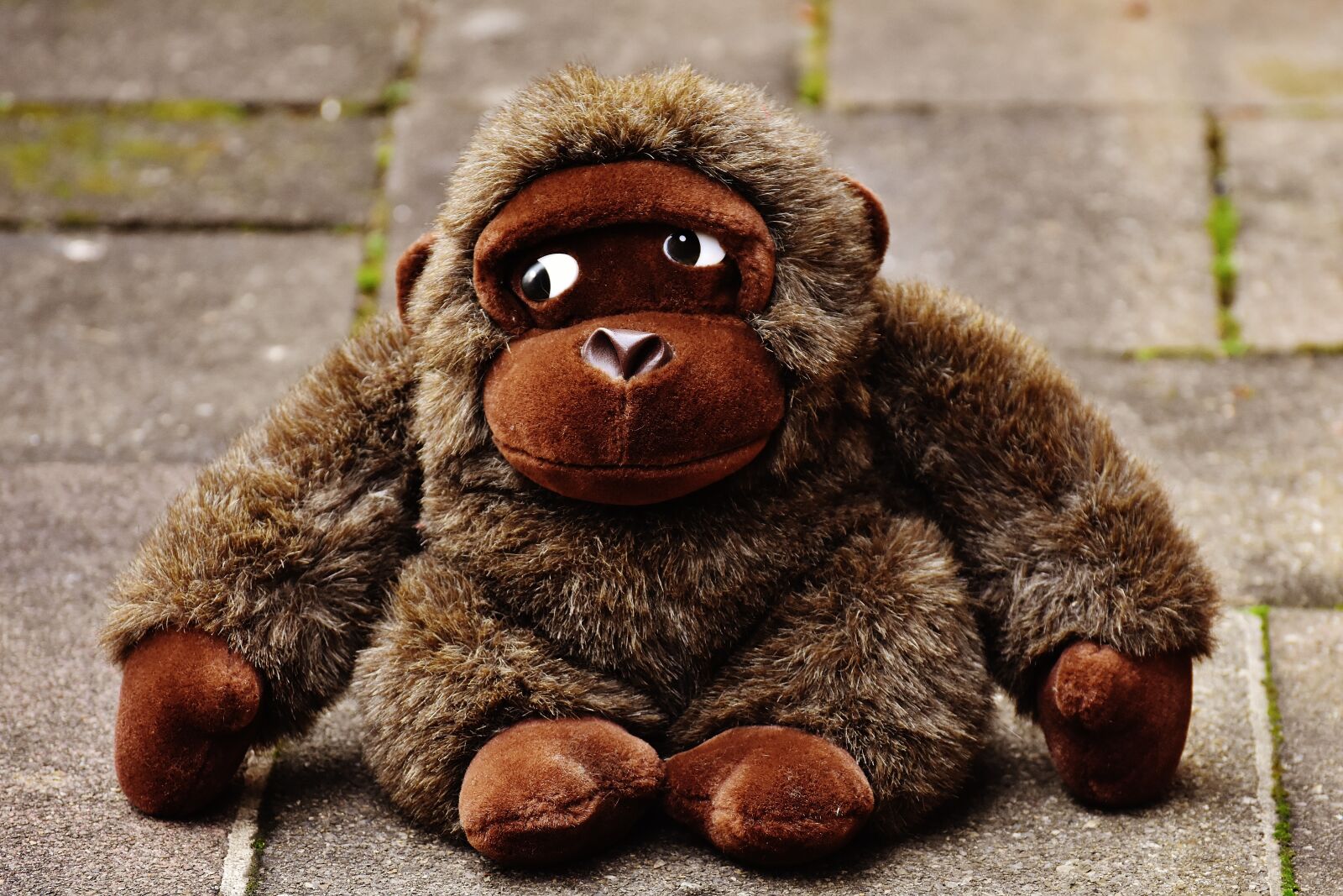 Nikon D7200 sample photo. Monkey, gorilla, toys photography