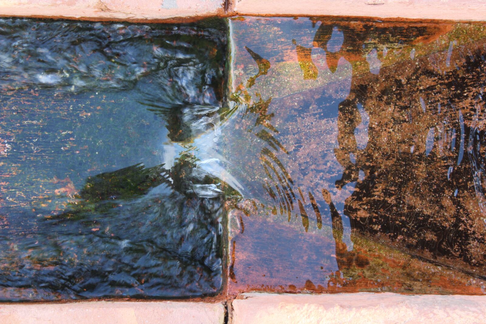 Canon EOS 1300D (EOS Rebel T6 / EOS Kiss X80) sample photo. Water, herb garden, fountain photography