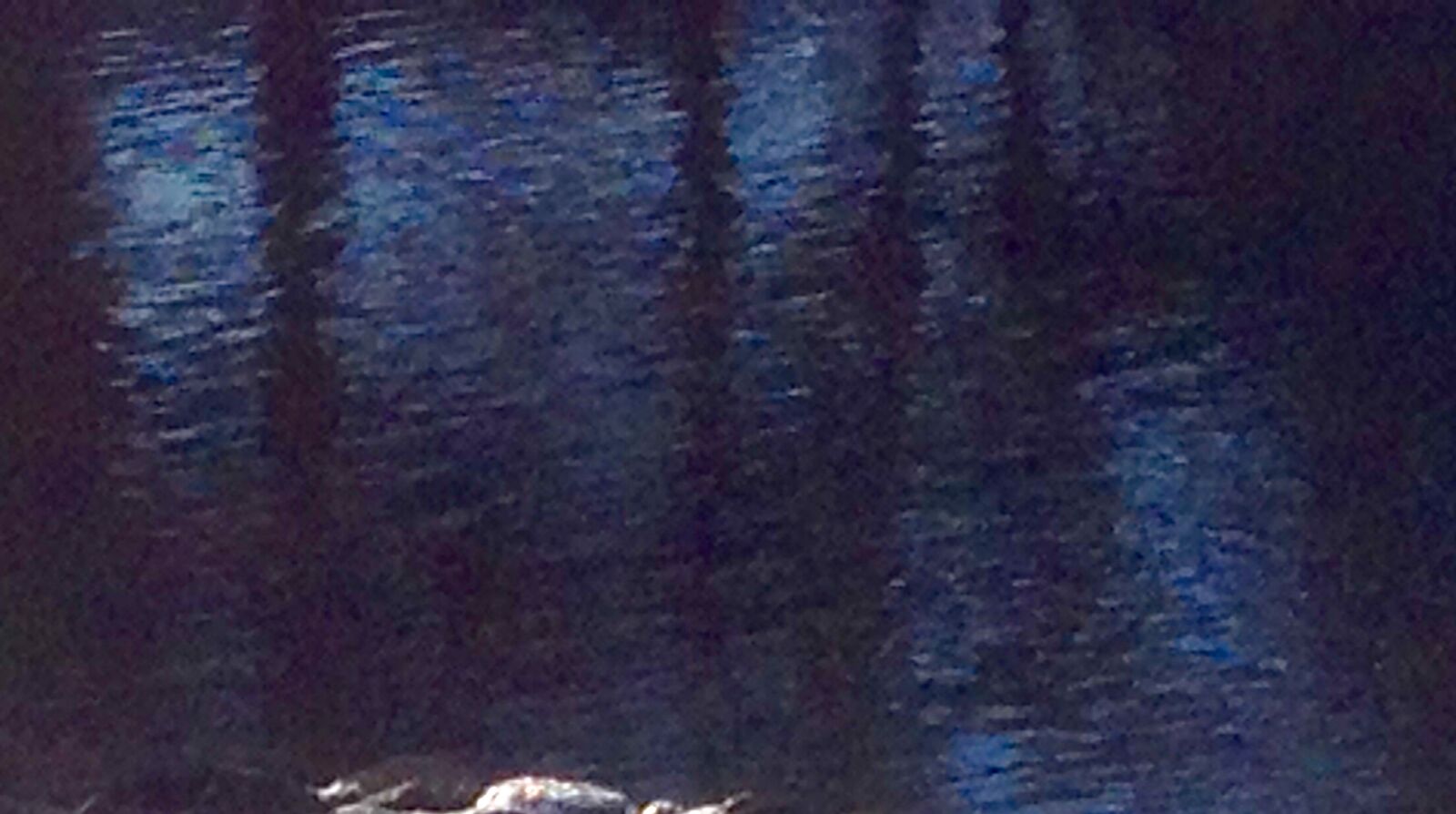 iPhone 4S back camera 4.28mm f/2.4 sample photo. Stylized, water, reflection photography