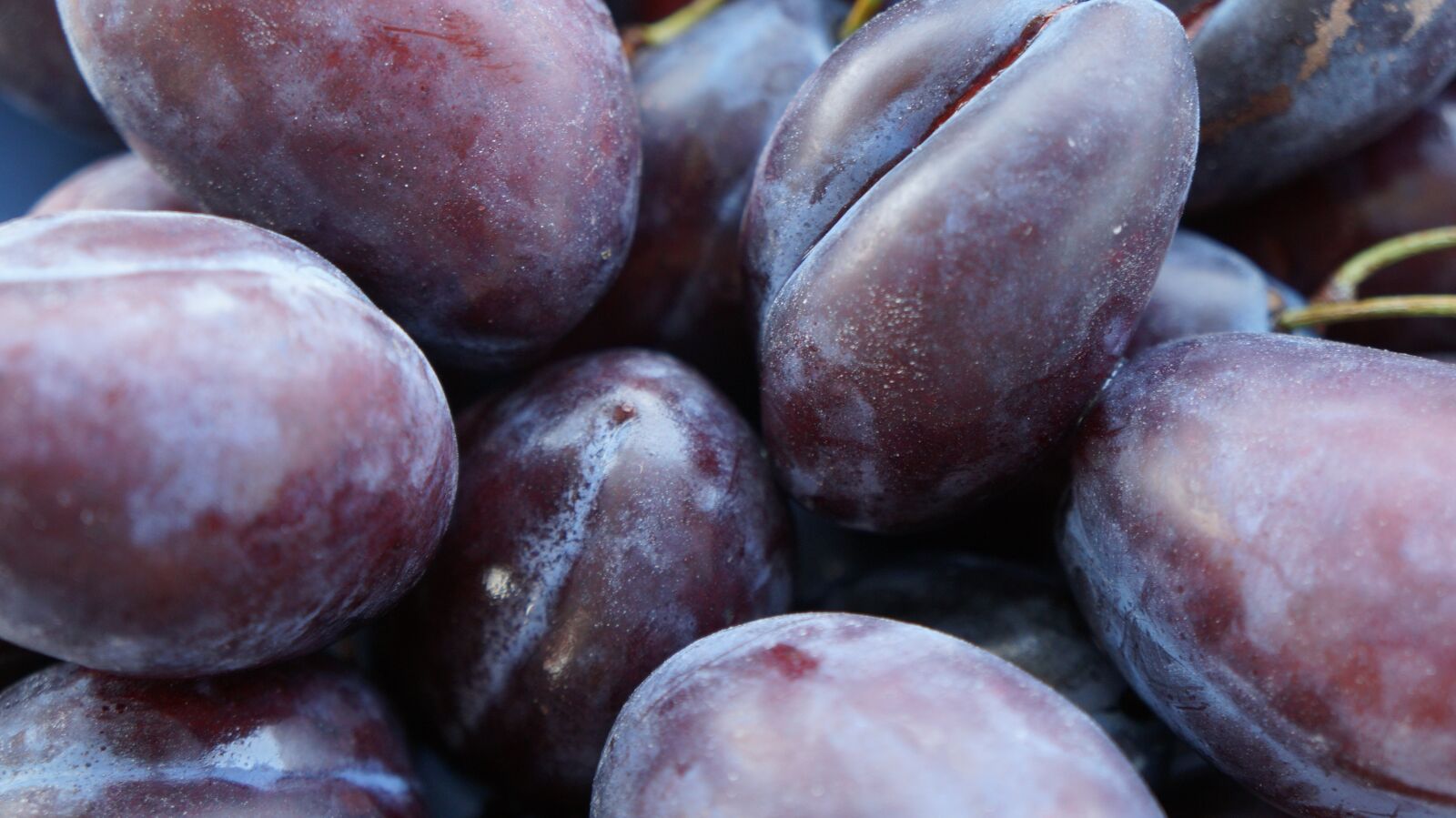 Sony Alpha a3000 sample photo. Plums, fruit, healthy photography
