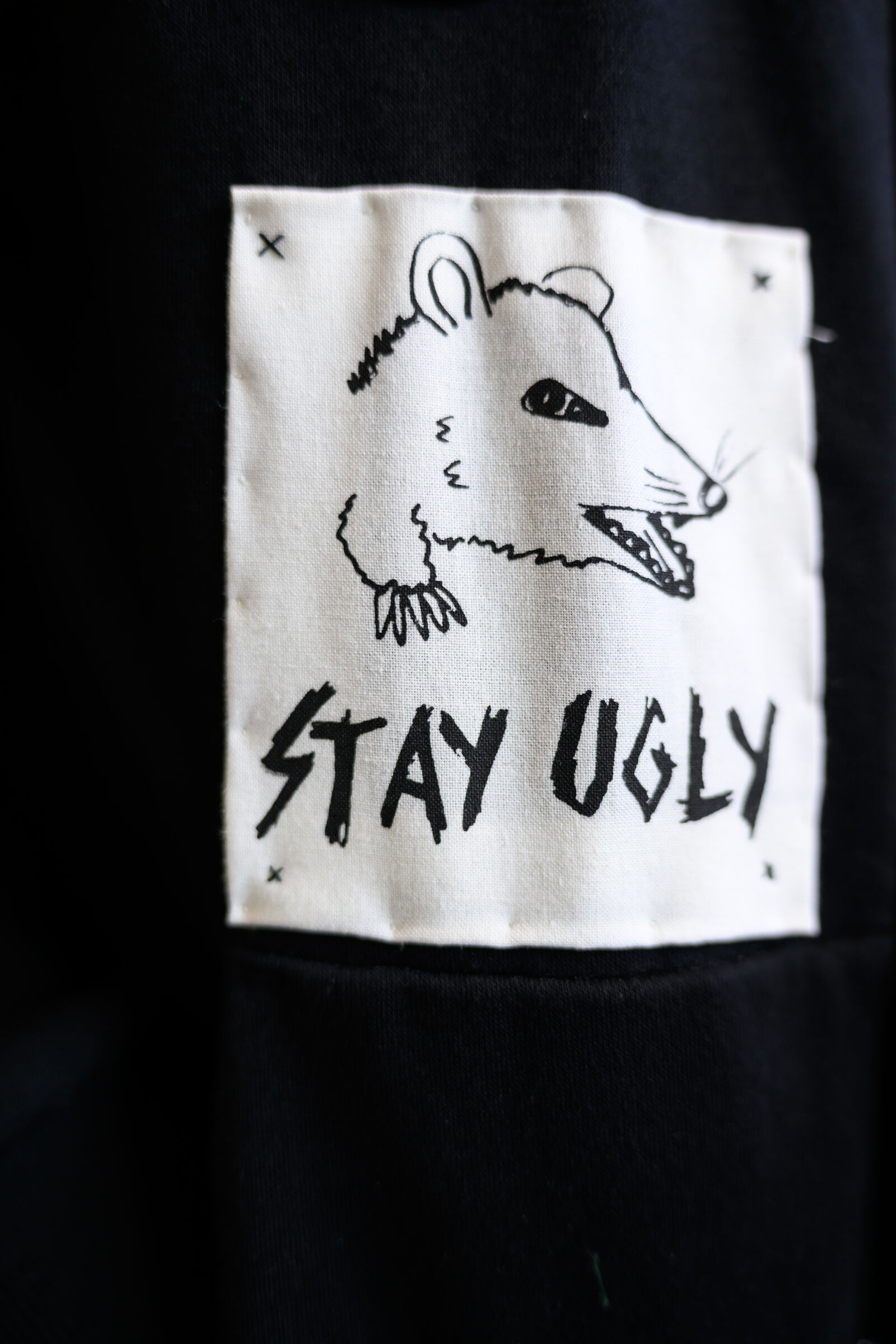 Nikon Z9 sample photo. Stay ugly badge photography