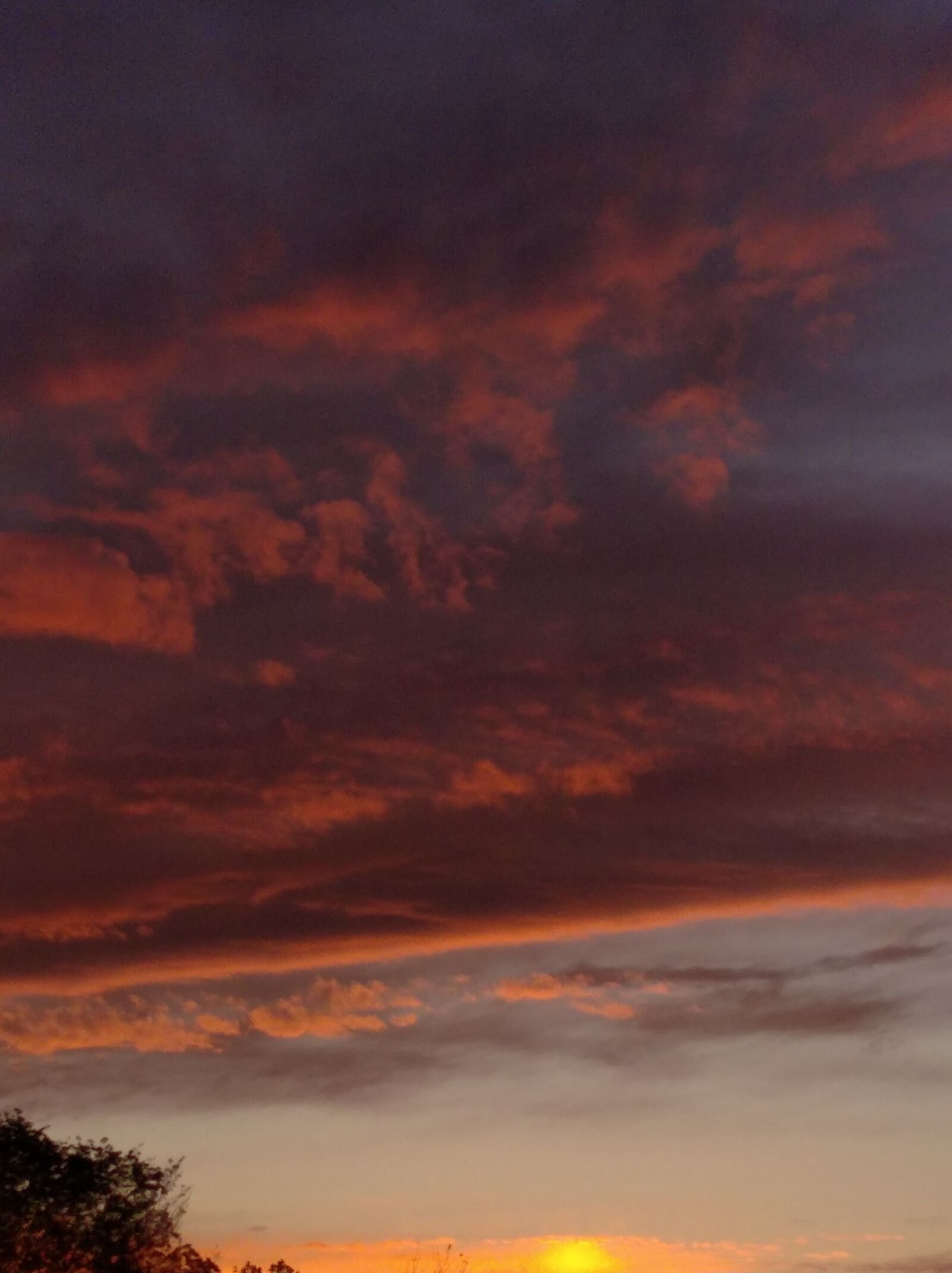 Xiaomi Redmi 8 sample photo. Beauty, beautiful colors, sunset photography