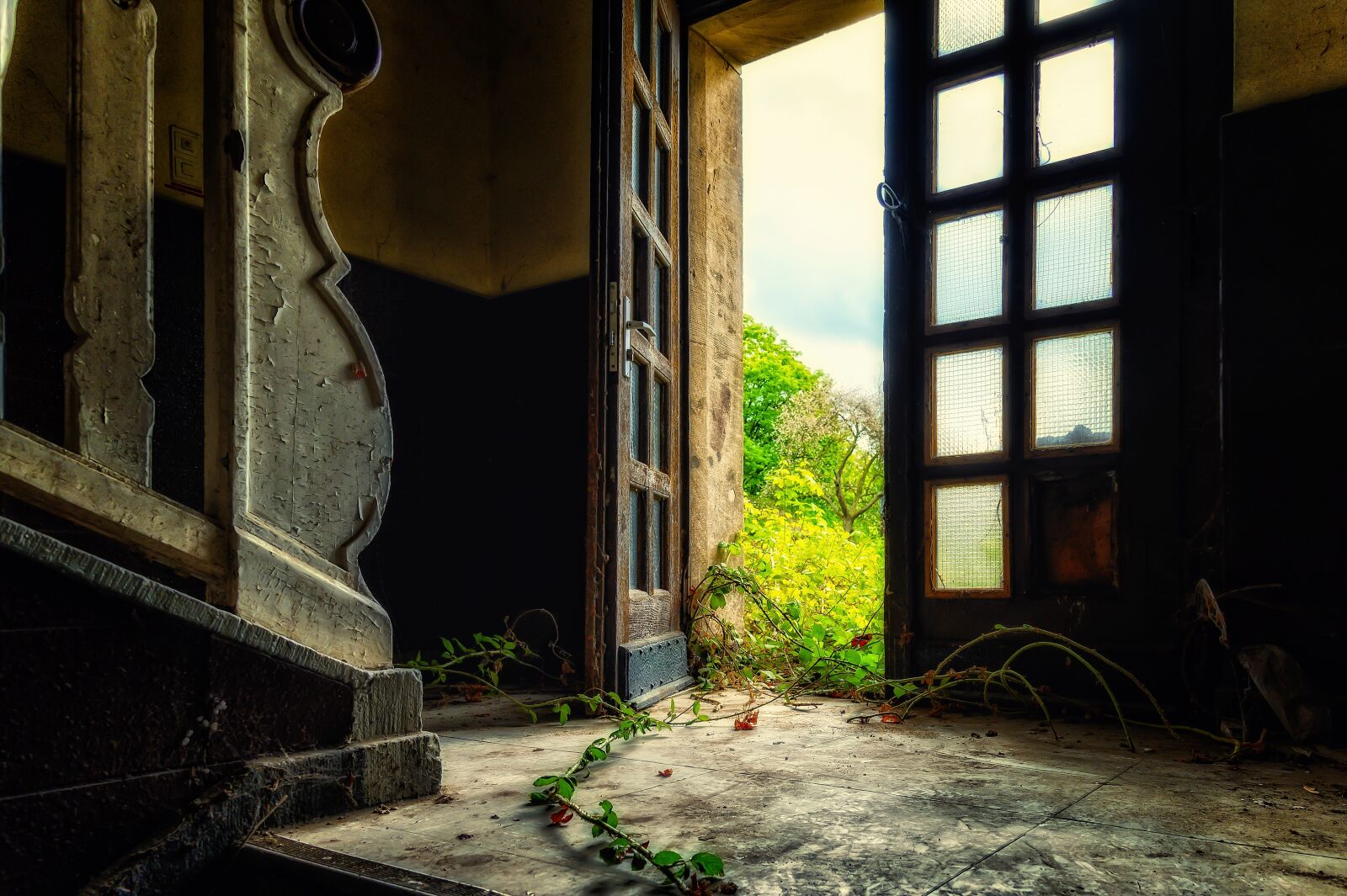 Nikon Z6 sample photo. Abandoned places, house, floor photography