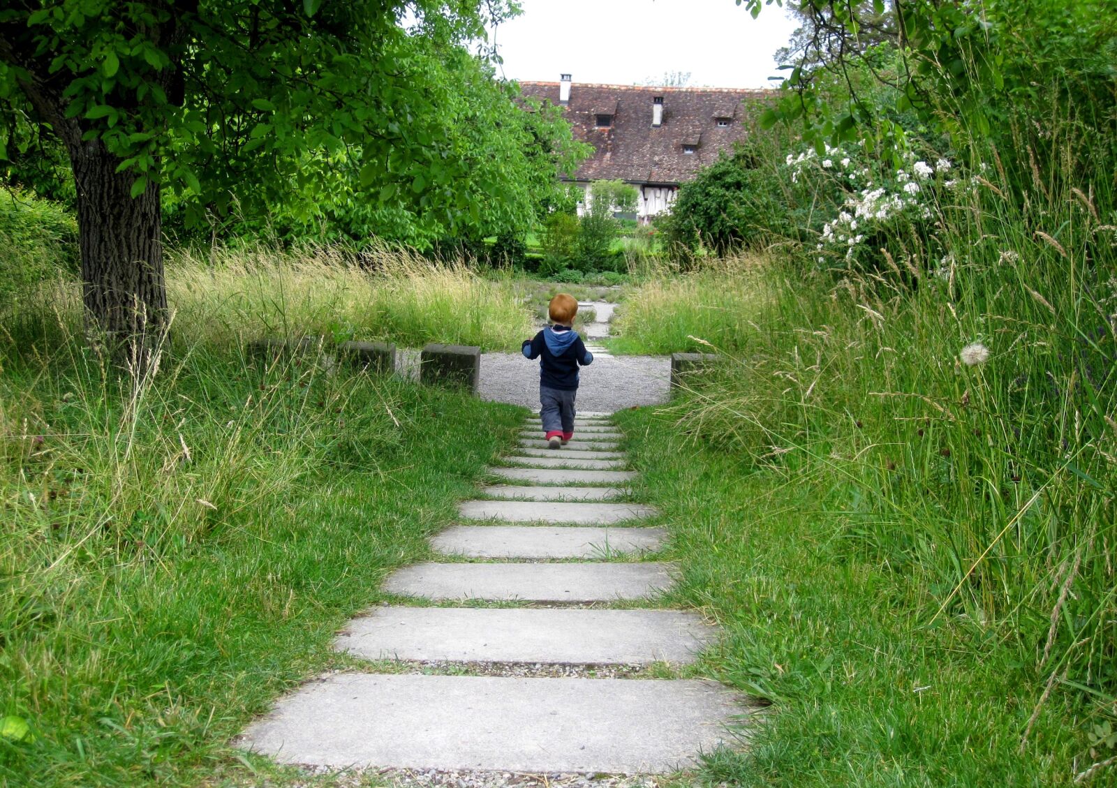 Canon PowerShot SD780 IS (Digital IXUS 100 IS / IXY Digital 210 IS) sample photo. Child, away, meadow photography