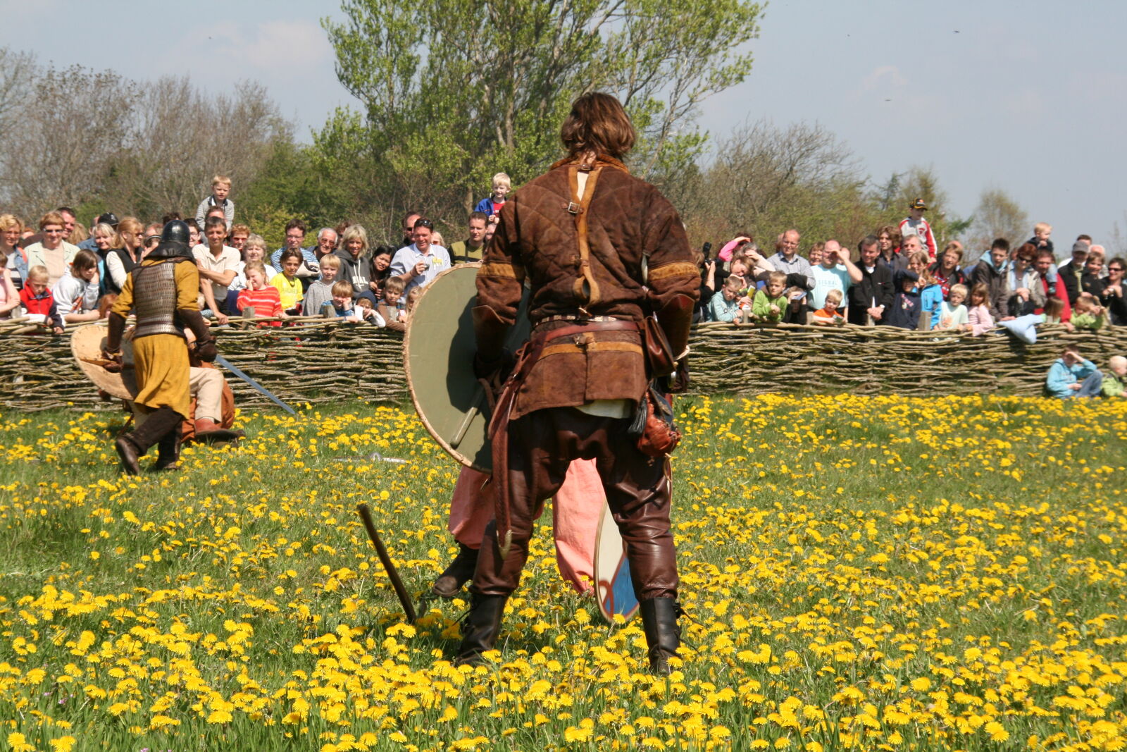Sigma 18-200mm f/3.5-6.3 DC OS sample photo. Vikings photography