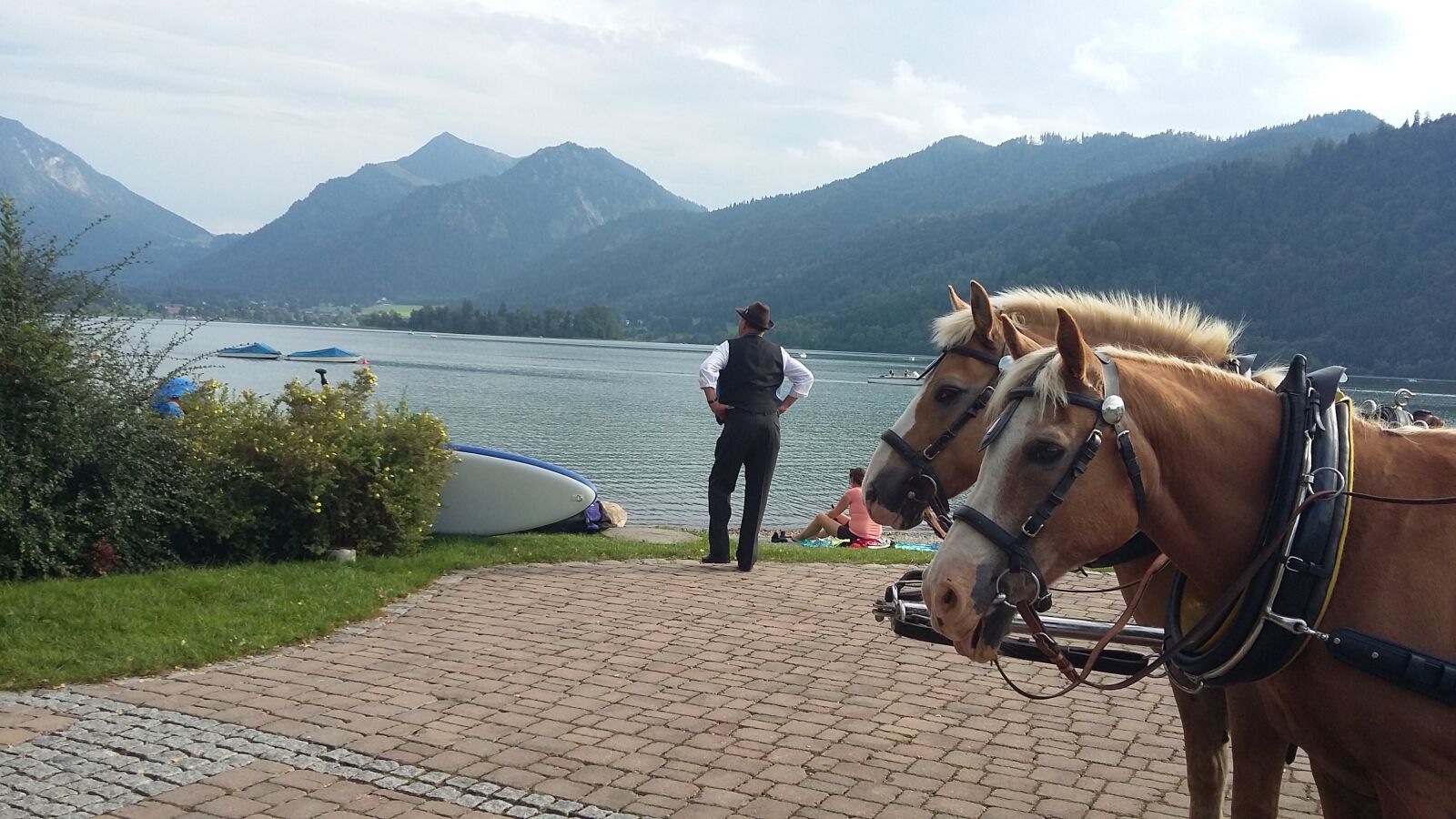 Samsung Galaxy A3 sample photo. Horses, lake, landscape photography
