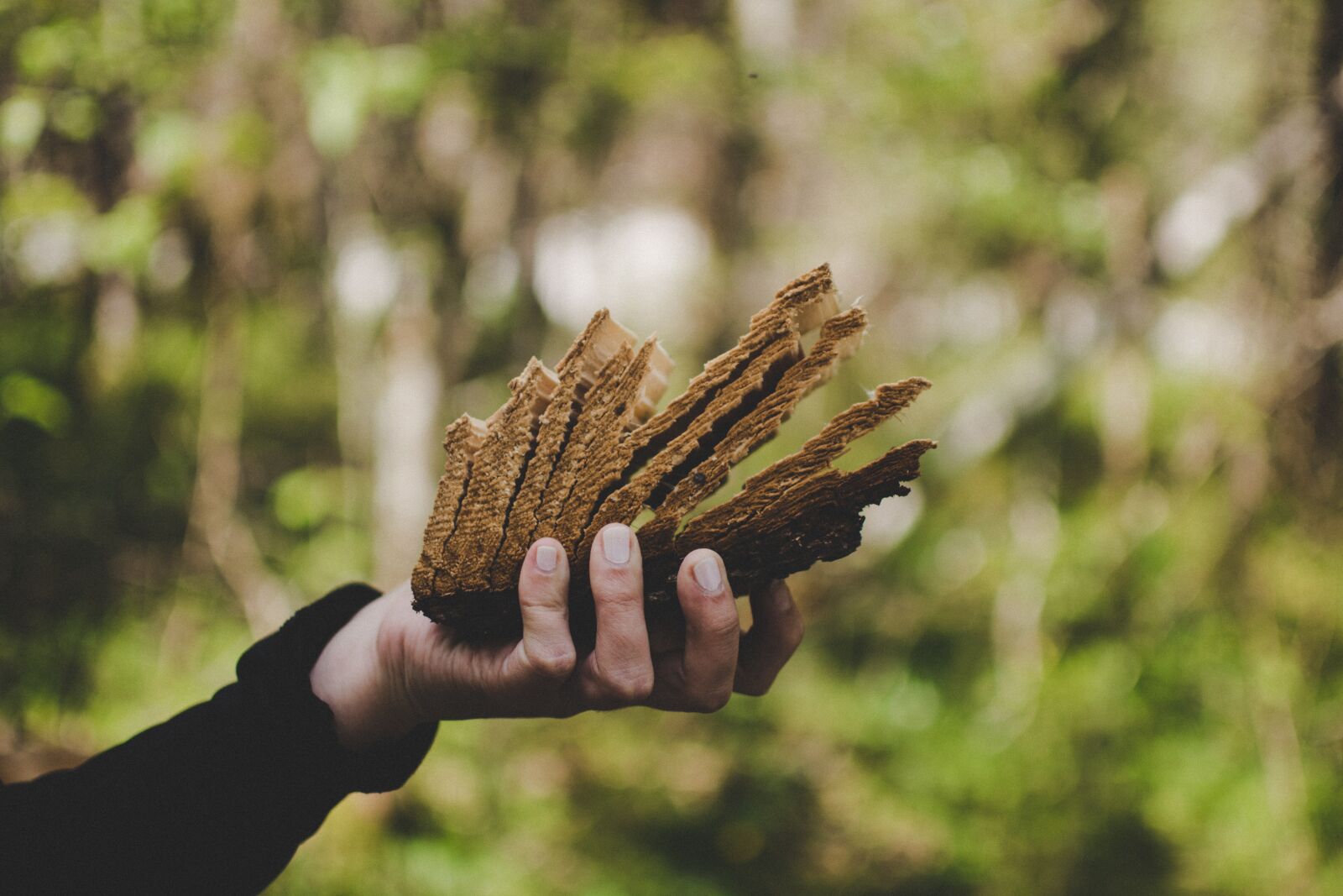 Nikon D5200 sample photo. Hand, keep, wood photography