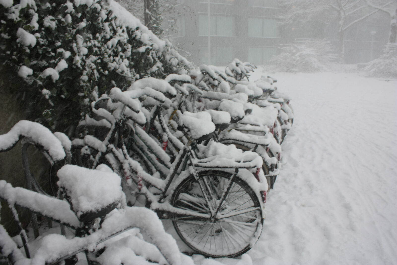 Canon EOS 450D (EOS Rebel XSi / EOS Kiss X2) sample photo. Amsterdam, bicycles, cityscape, netherlands photography