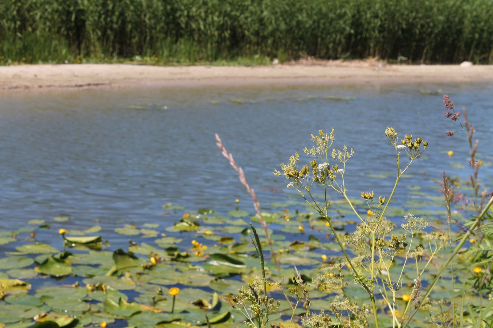 Canon EOS 1100D (EOS Rebel T3 / EOS Kiss X50) sample photo. Nature, bay, landscape photography