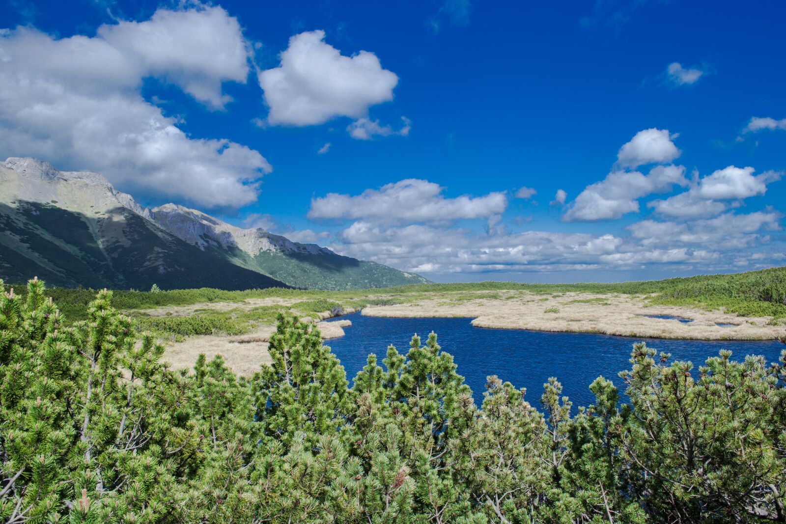 Nikon D3100 sample photo. Mountains, nature, high tatras photography