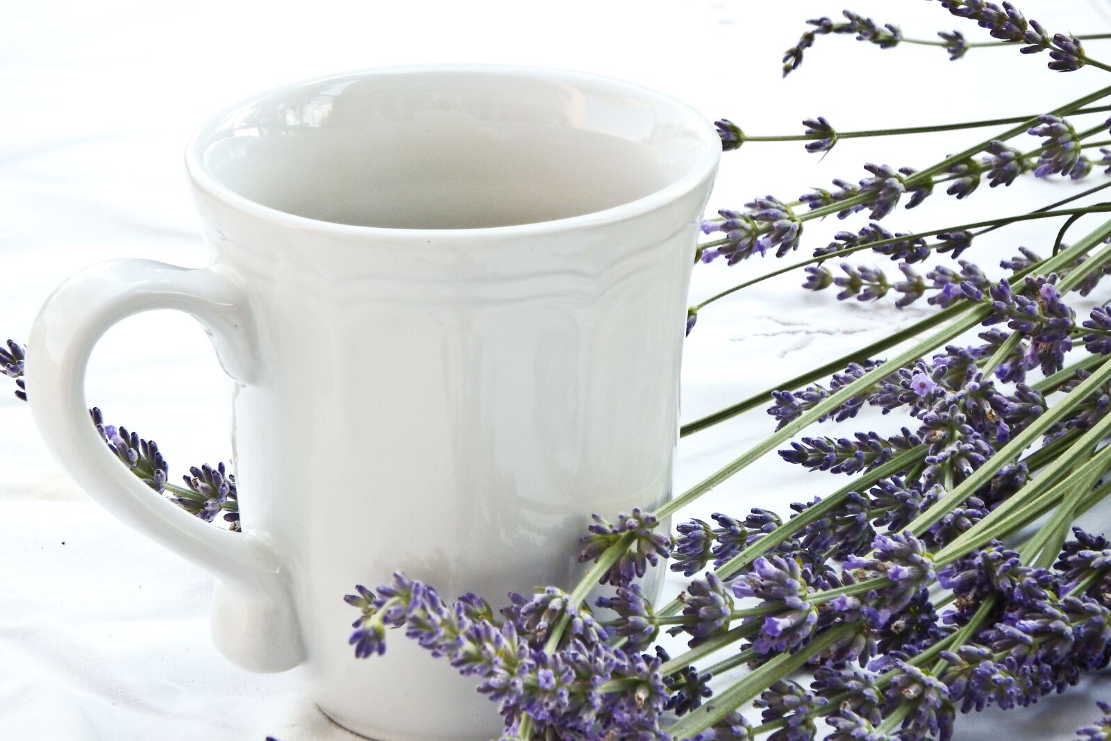 Fujifilm FinePix SL1000 sample photo. Lavender, cup, tablecloth photography