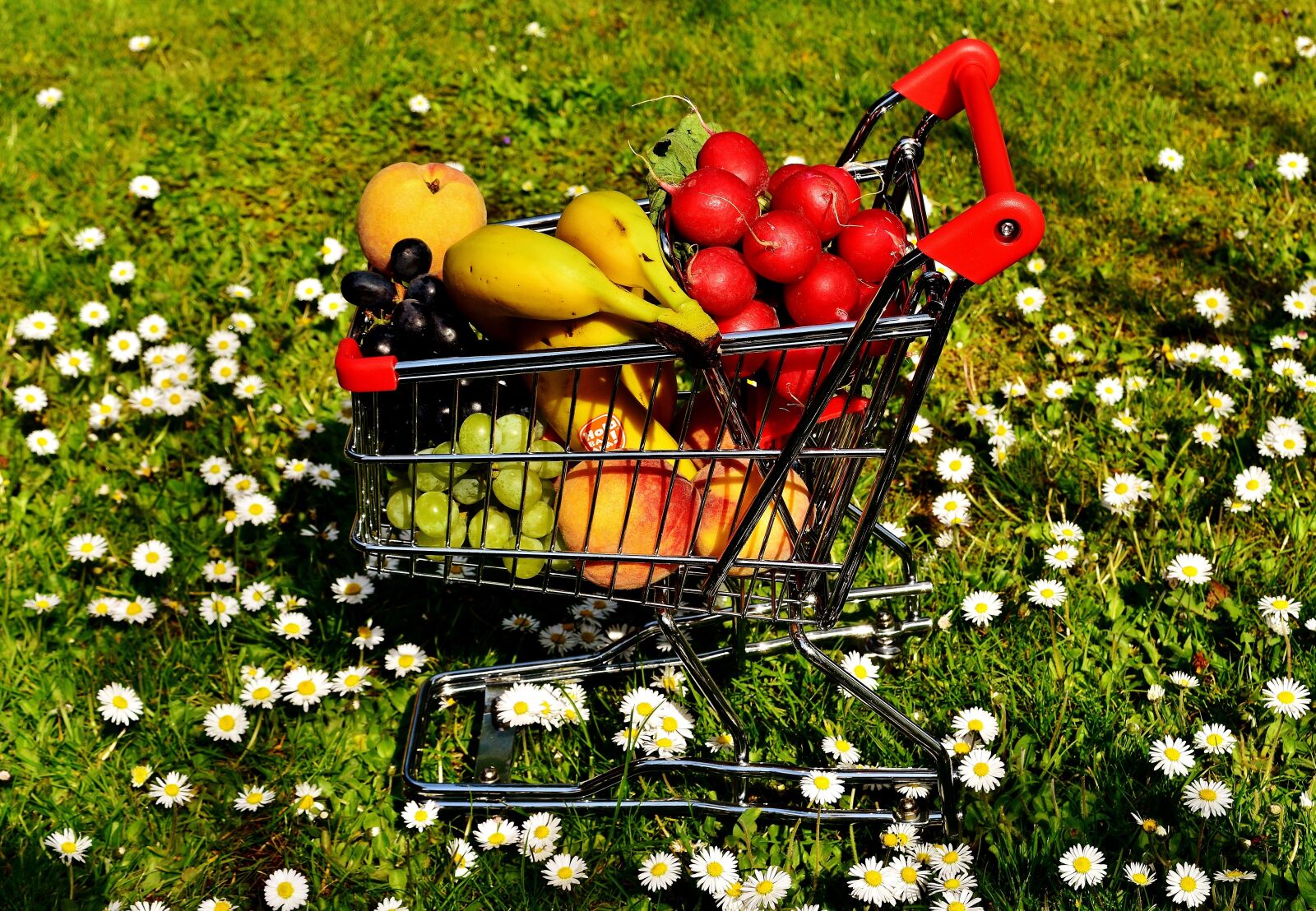 Nikon D7200 sample photo. Shopping cart, healthy shopping photography
