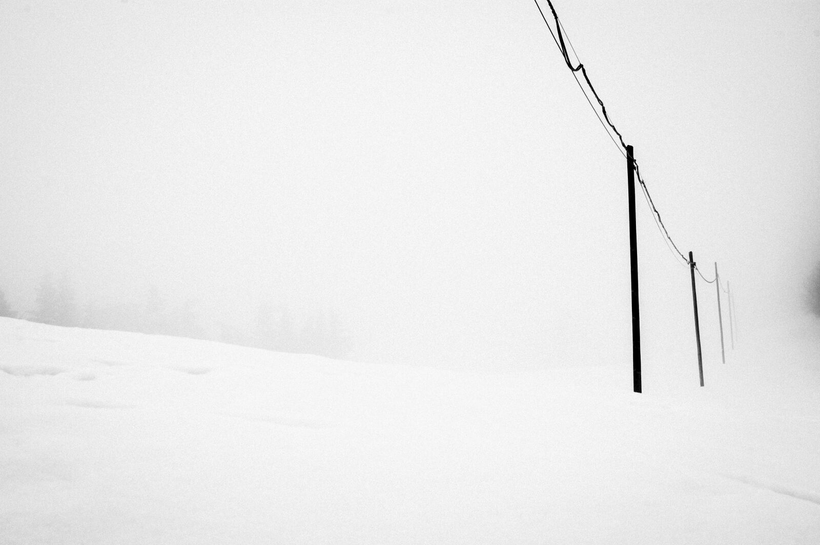 Nikon D40 sample photo. Snow, white, nero photography