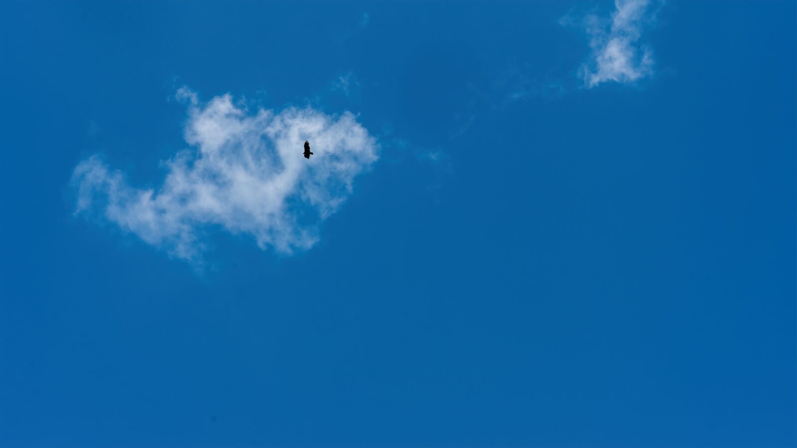 Sony a7R III sample photo. Cloud, bird, sky photography