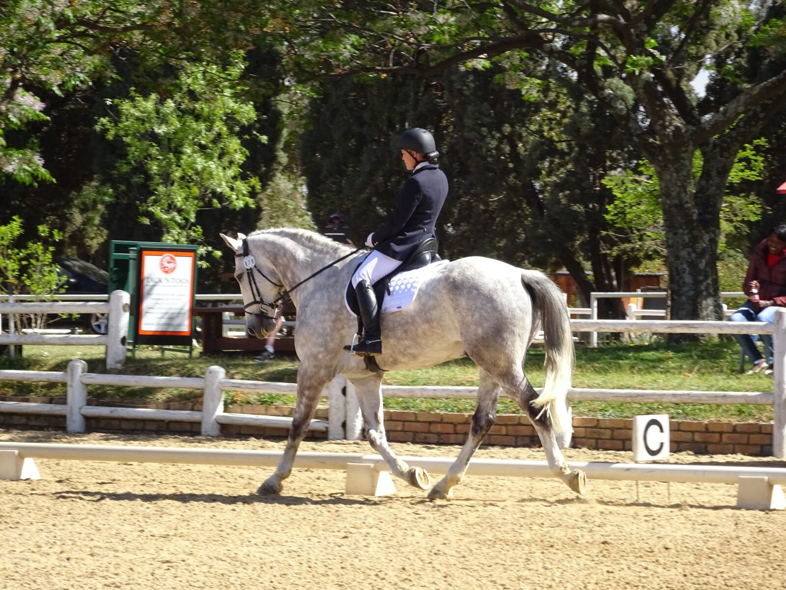 Sony Cyber-shot DSC-WX350 sample photo. Horse, show, extended trot photography