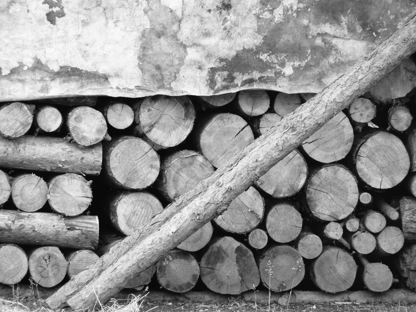 Nikon Coolpix P510 sample photo. Wood, supply, winter photography