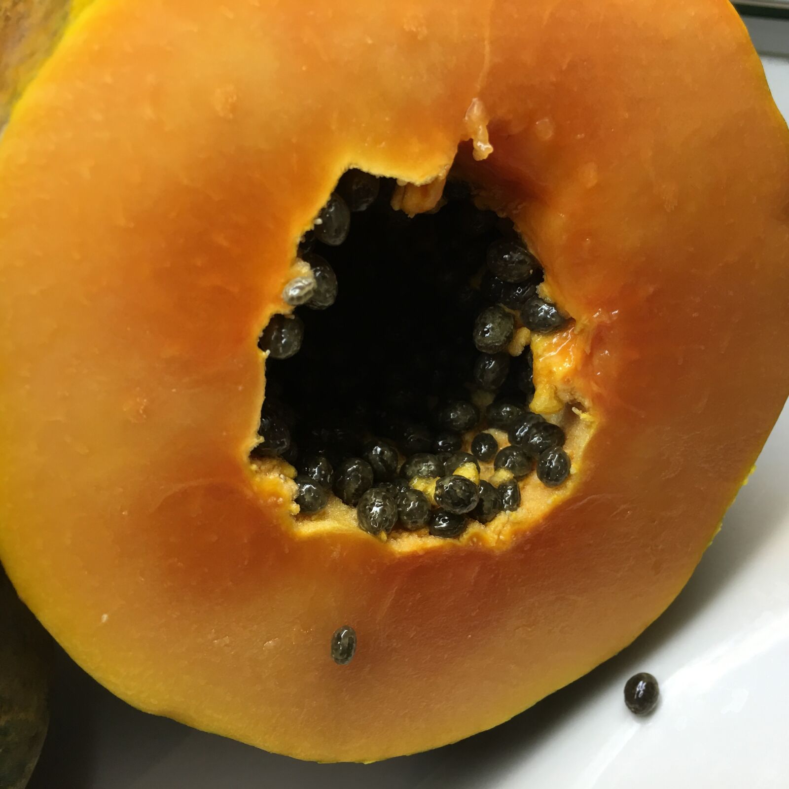 Apple iPhone 6s Plus sample photo. Sliced, papaya, seeds photography