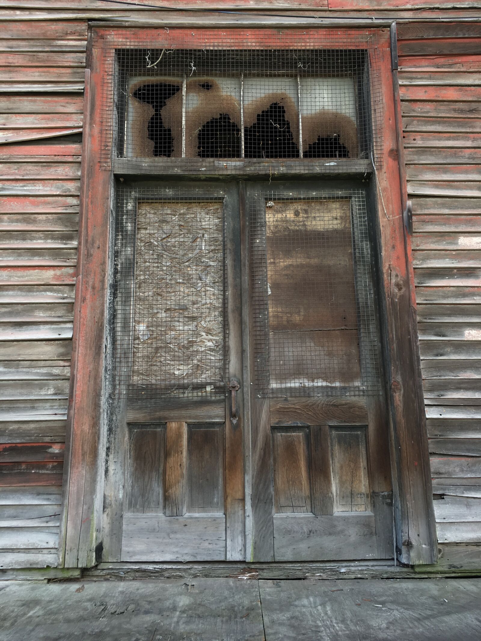 Apple iPhone 6s sample photo