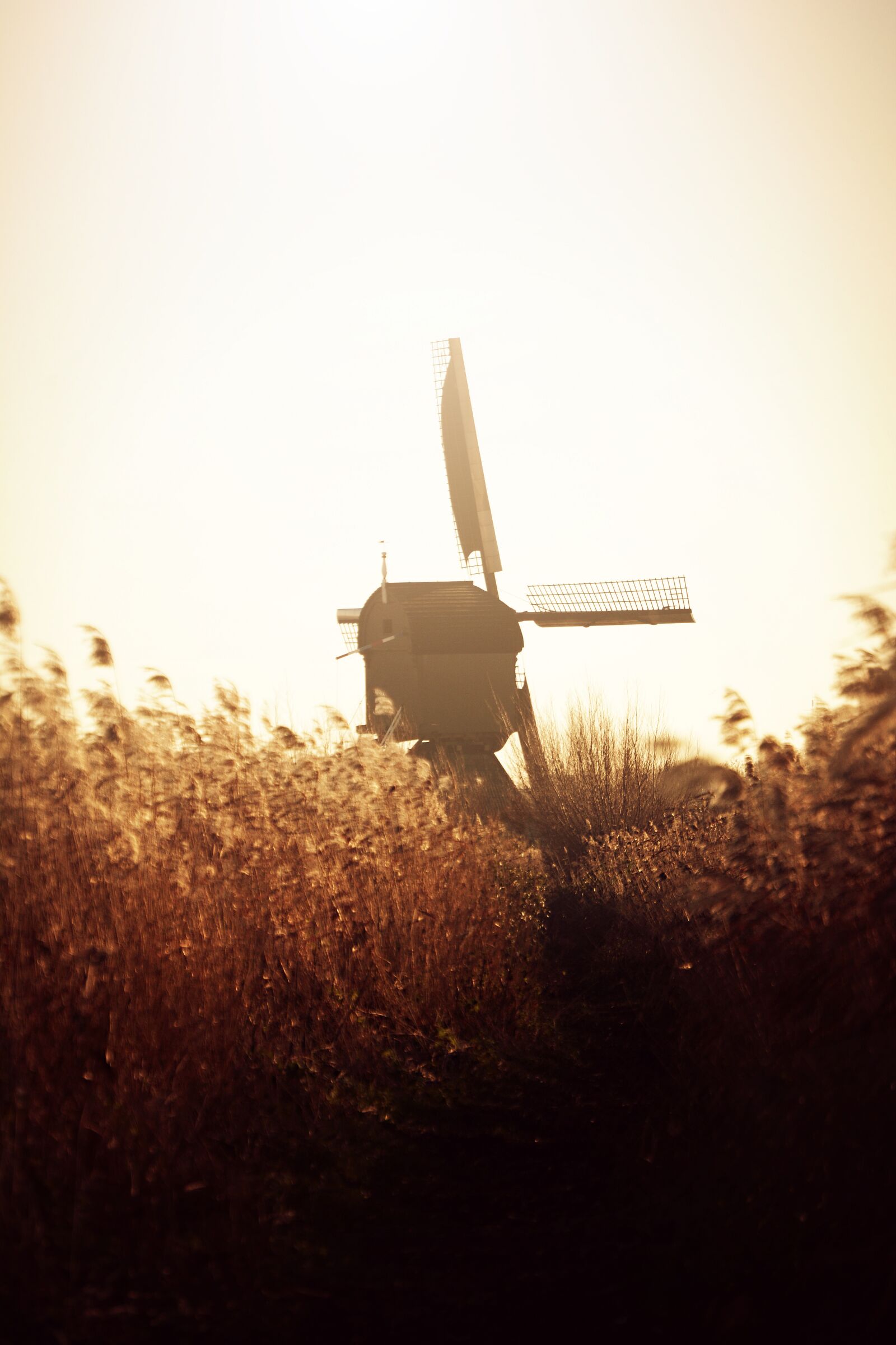 Nikon D7100 sample photo. Netherlands, kinderdijk, mill photography