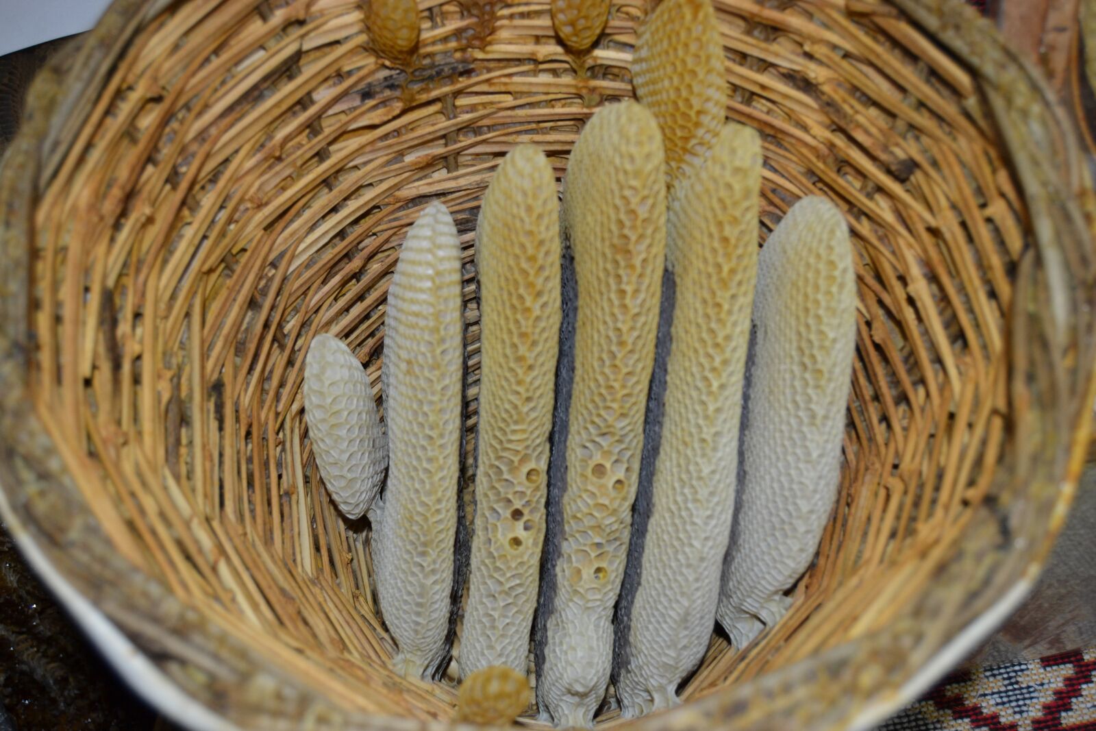 Nikon D3100 sample photo. Natural, babu, basket photography
