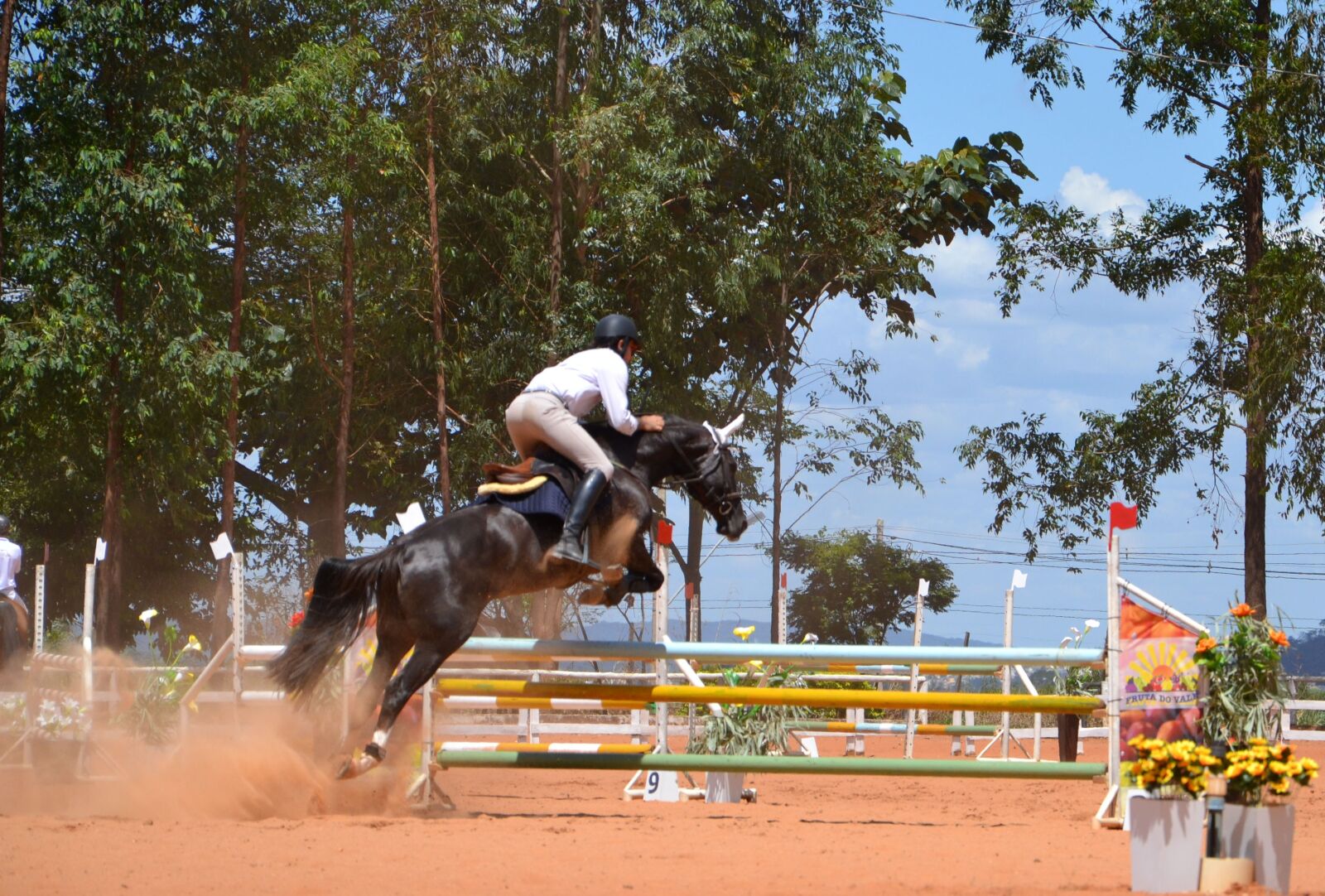 Nikon D3100 sample photo. Proof, equestrianism, championship photography