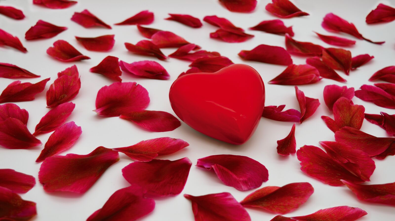 Nikon D3200 sample photo. Red petals, heart, love photography