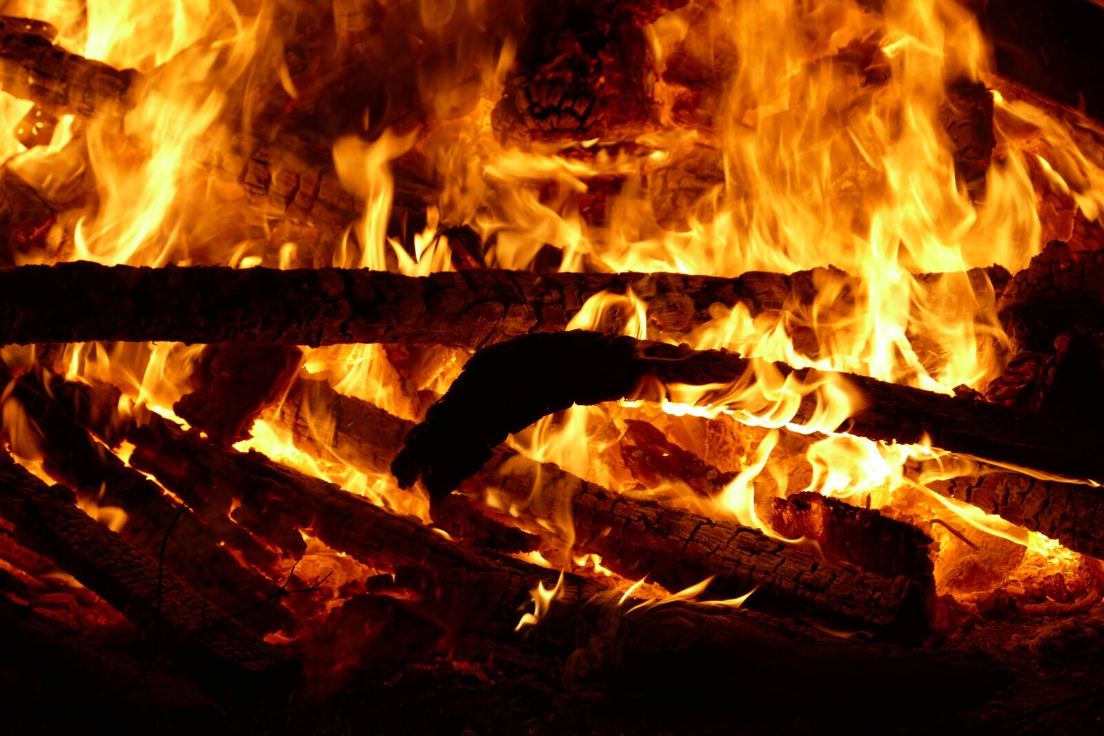 Panasonic Lumix DMC-FZ1000 sample photo. Fire, flame, wood photography