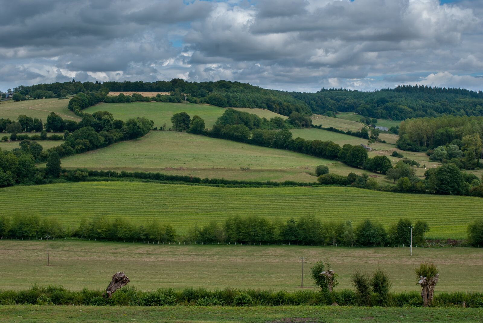 Nikon D80 sample photo. Landscape, rural, france photography