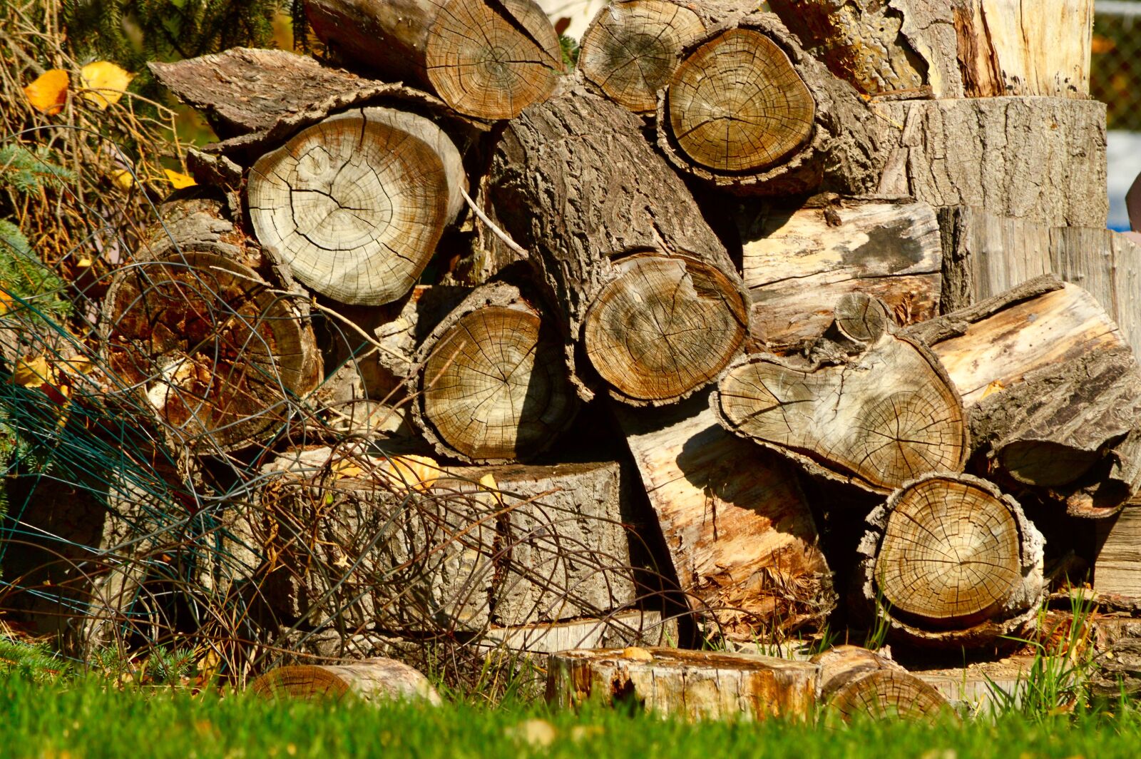 Nikon D3200 sample photo. Wood, pile, woodpile photography