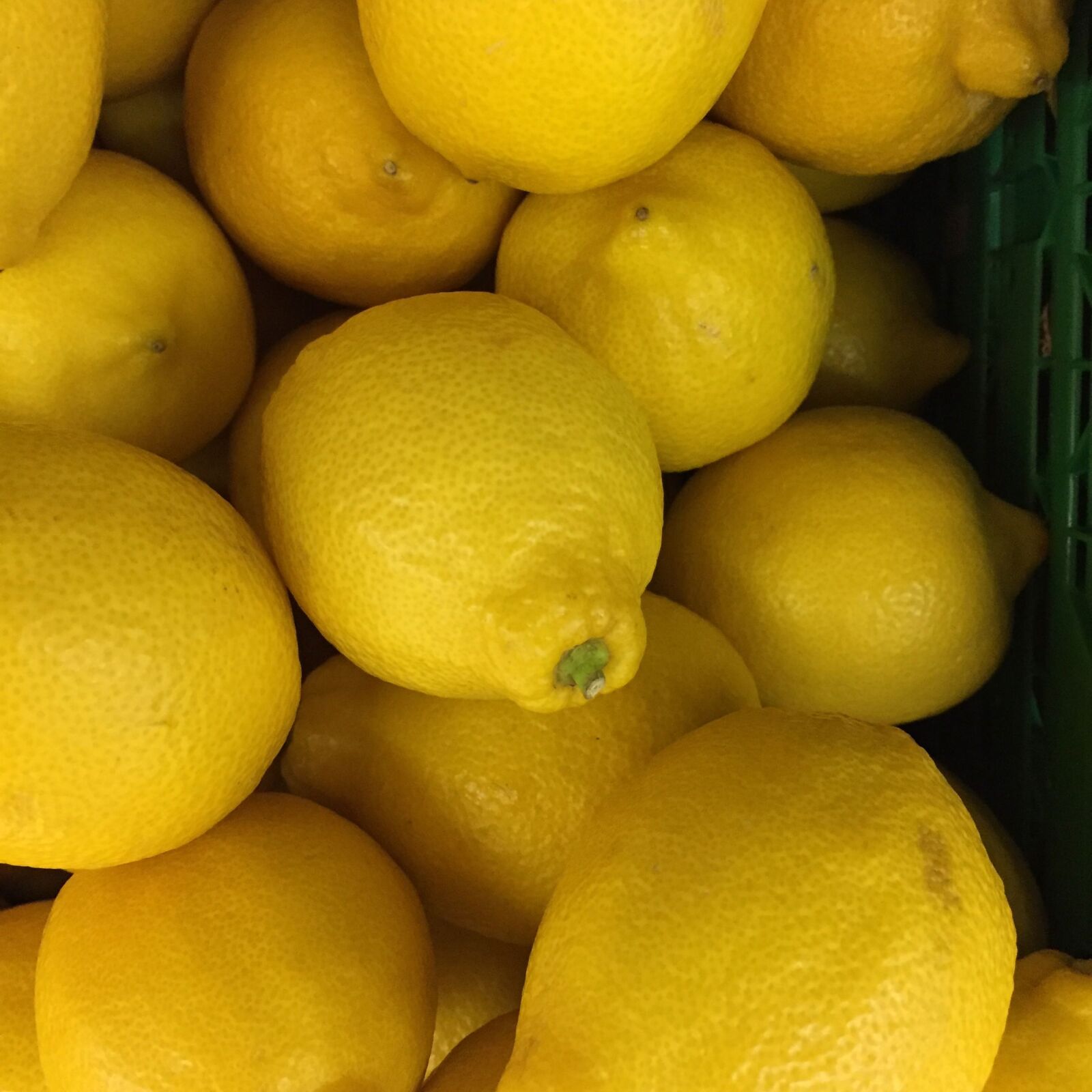 Apple iPhone 6 sample photo. Lemons photography