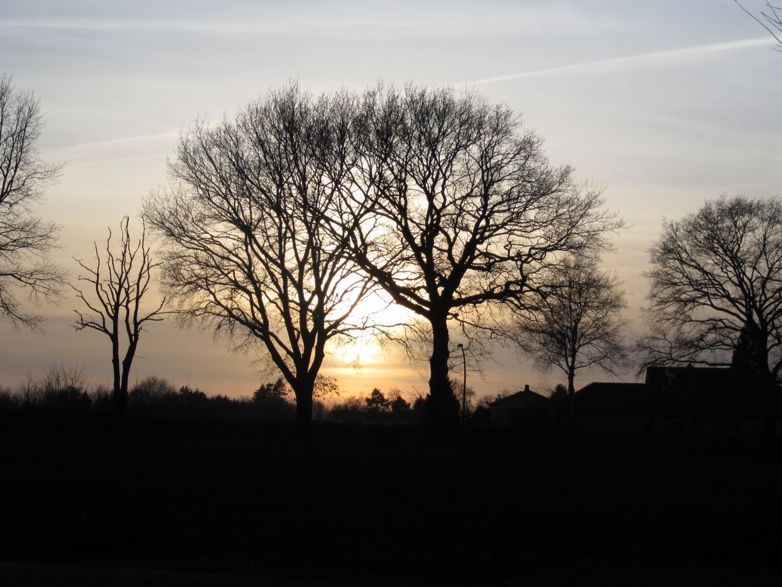 Canon PowerShot SD4500 IS (IXUS 1000 HS / IXY 50S) sample photo. Evening sun, trees, sunset photography