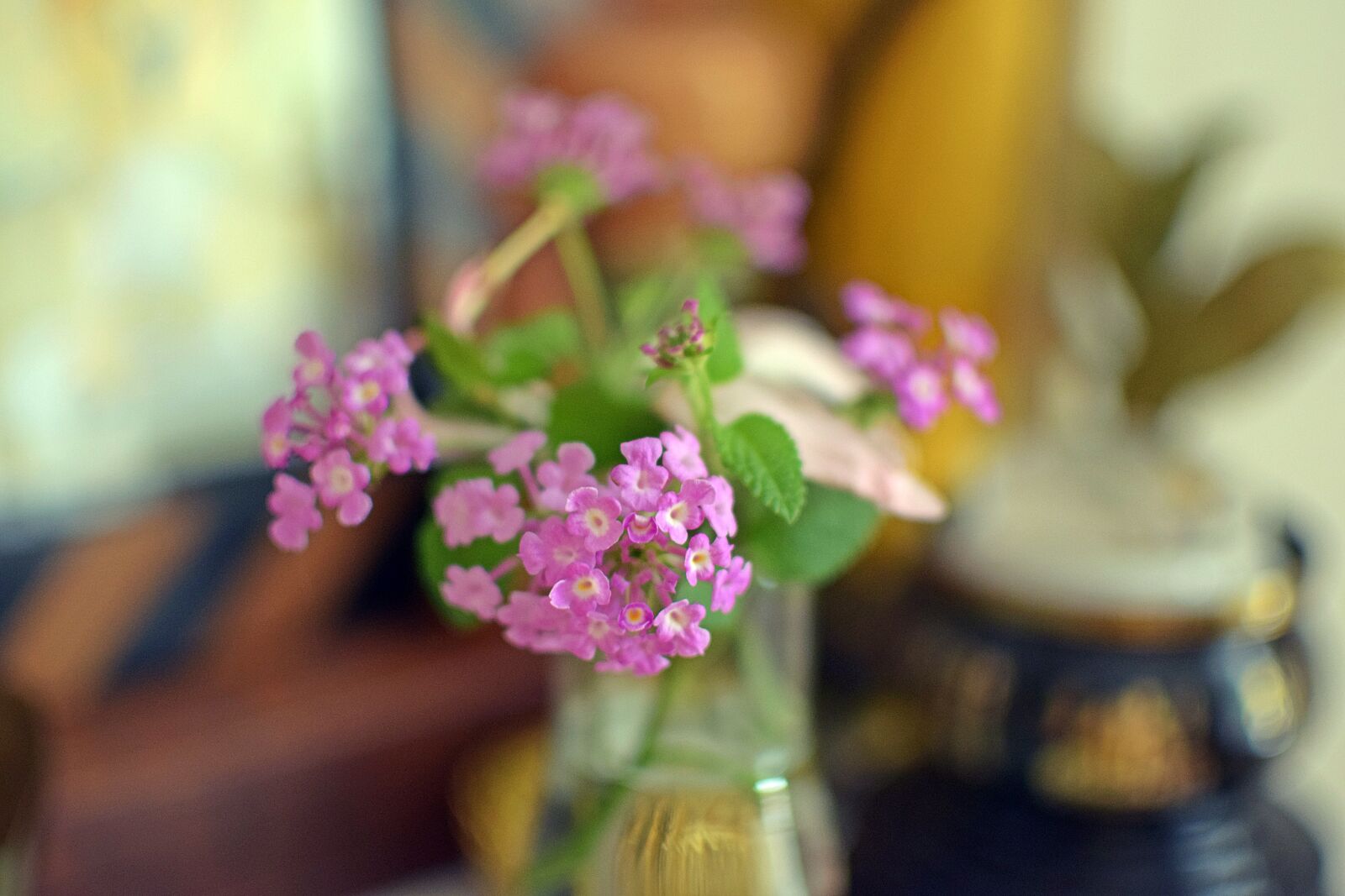 Nikon D5300 sample photo. Flower, purple, violet photography