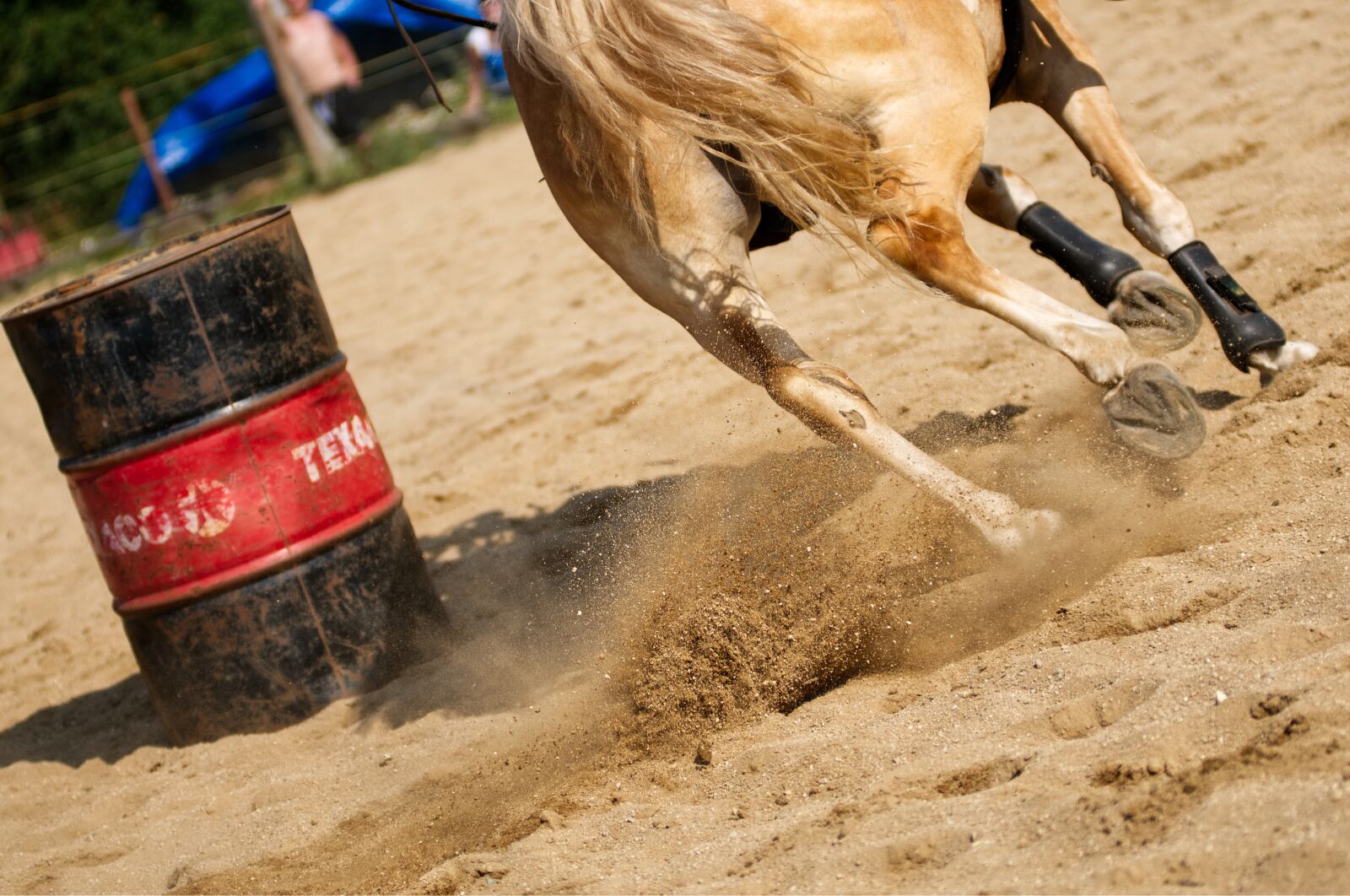 Nikon D300S sample photo. Horse, hooves, horse riding photography