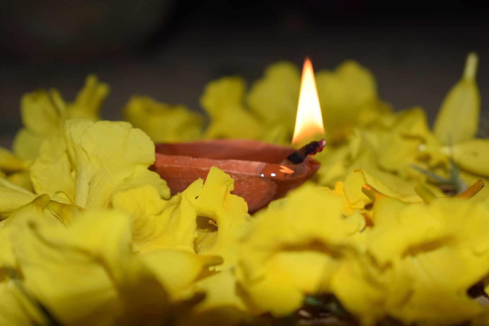 Nikon D5300 sample photo. Diya, fire, diwali photography