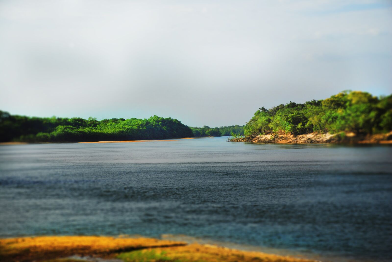 Nikon D40X sample photo. Cinaruco, venezuela, rush photography