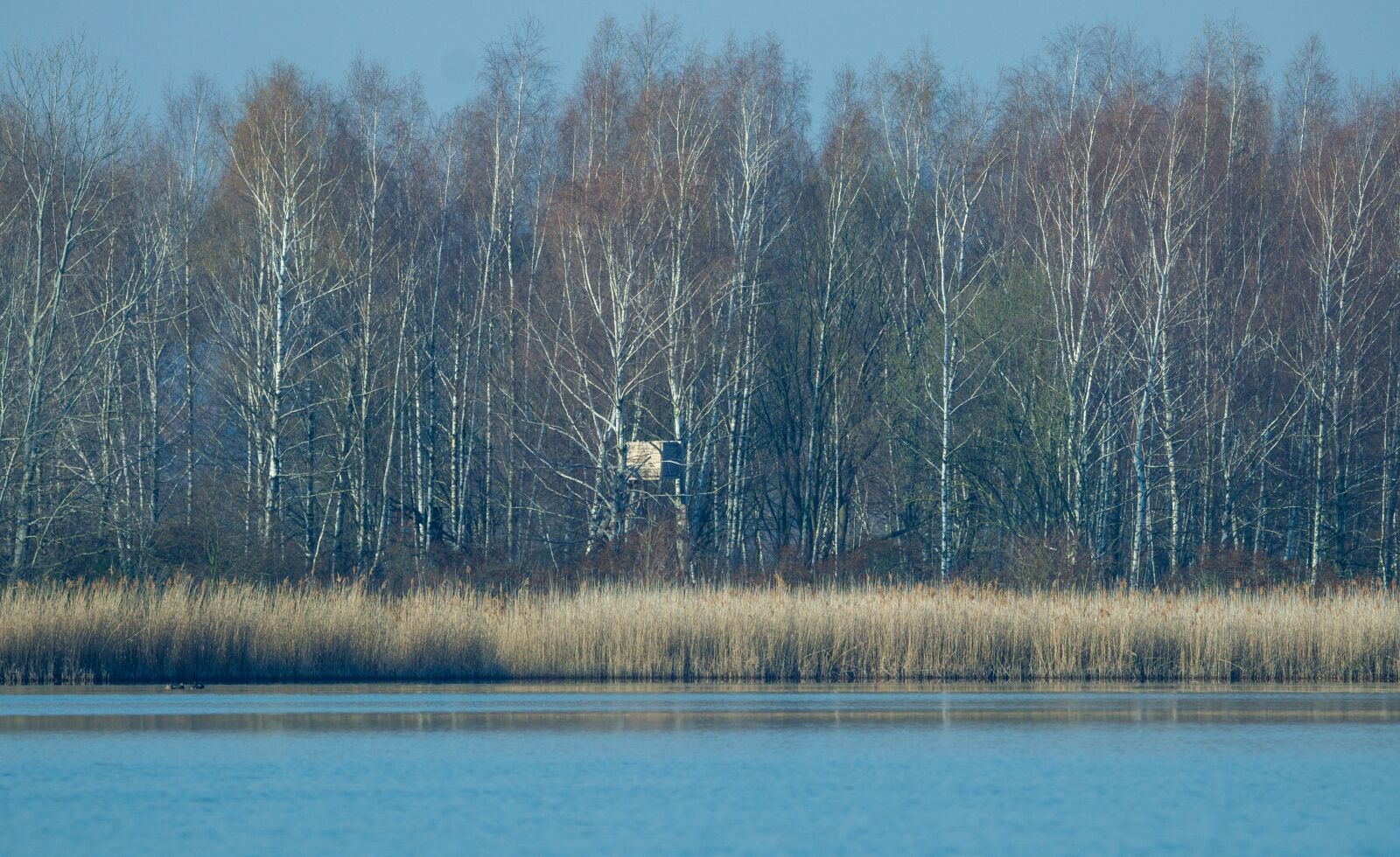 150-600mm F5-6.3 DG OS HSM | Contemporary 015 sample photo. Lake, bank, landscape photography