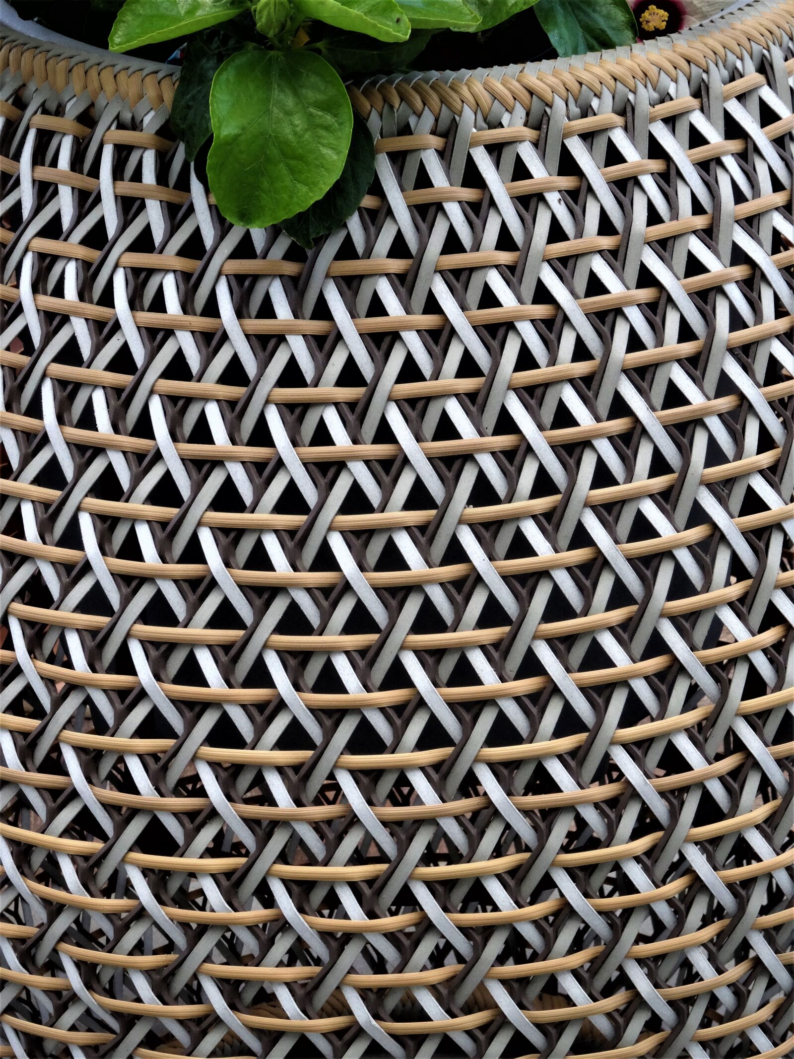Sony Cyber-shot DSC-HX50V sample photo. Basket, basket ware, wattle photography