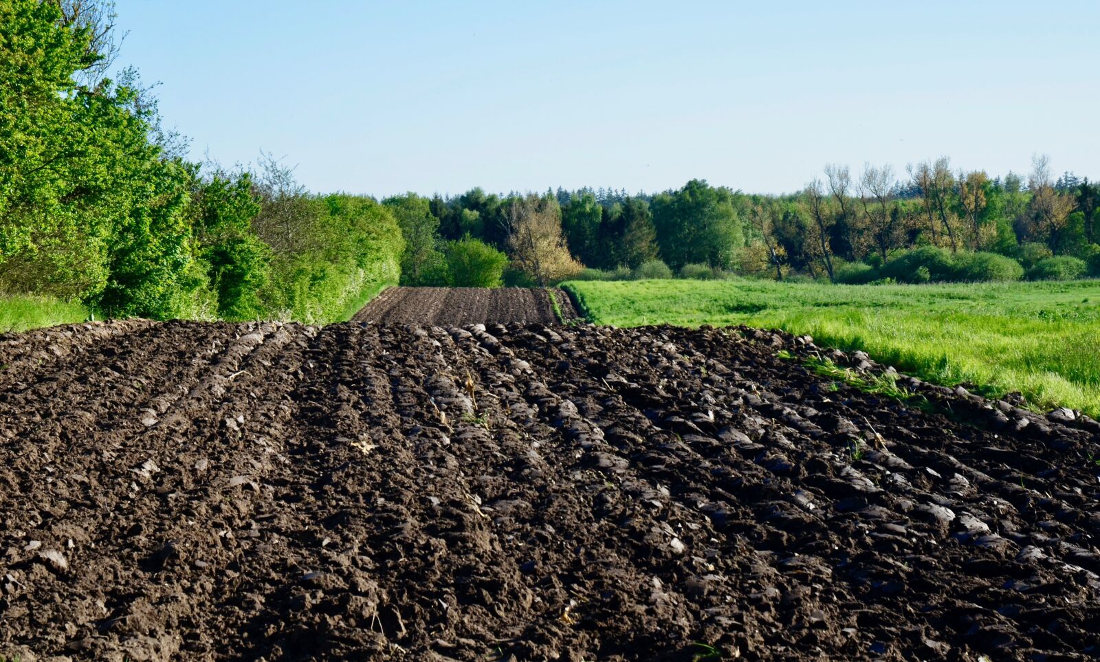 Nikon D5100 sample photo. Arable, field, landscape photography