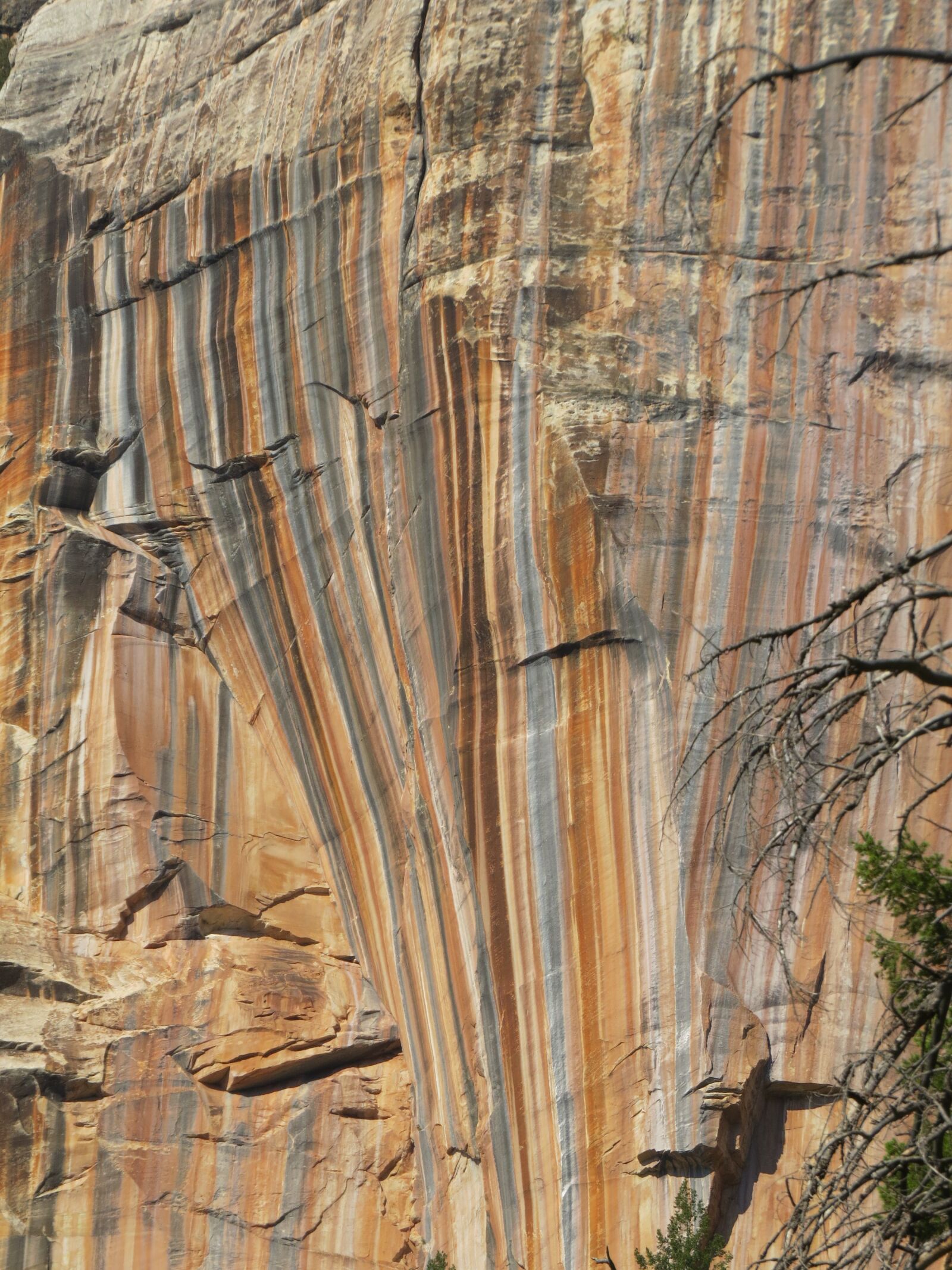 Canon PowerShot SX50 HS sample photo. Grand canyon, north rim photography