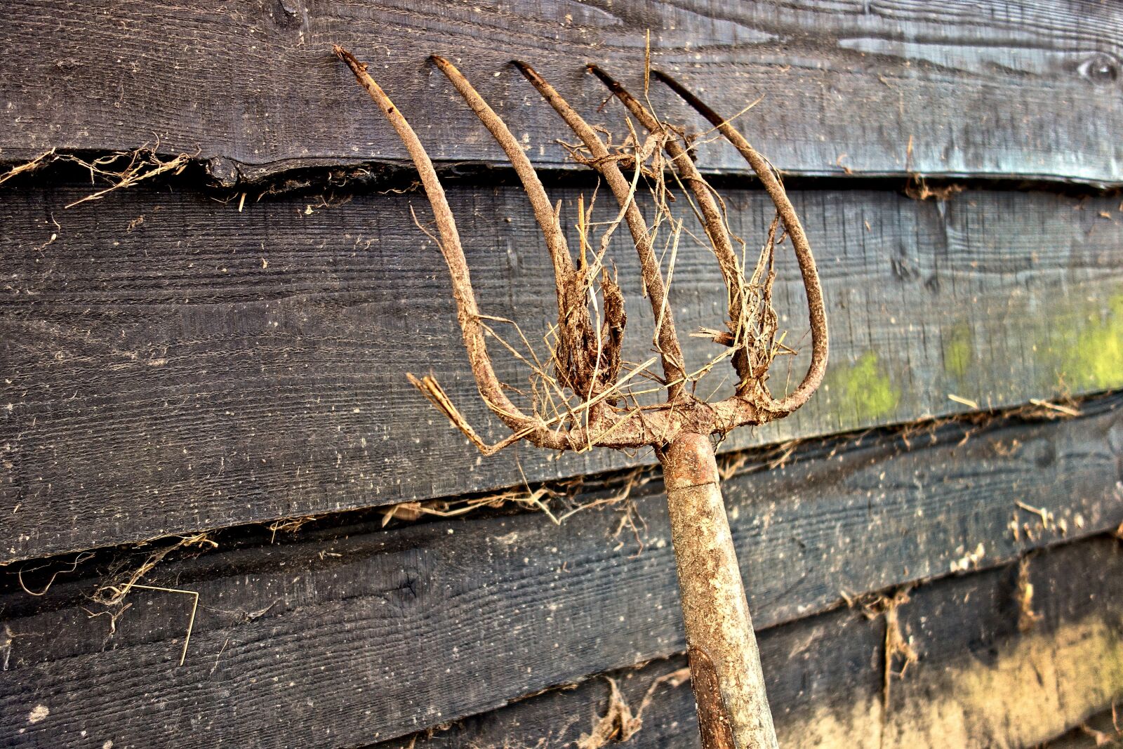 Sony Cyber-shot DSC-RX100 sample photo. Pitch fork, prongs, tool photography
